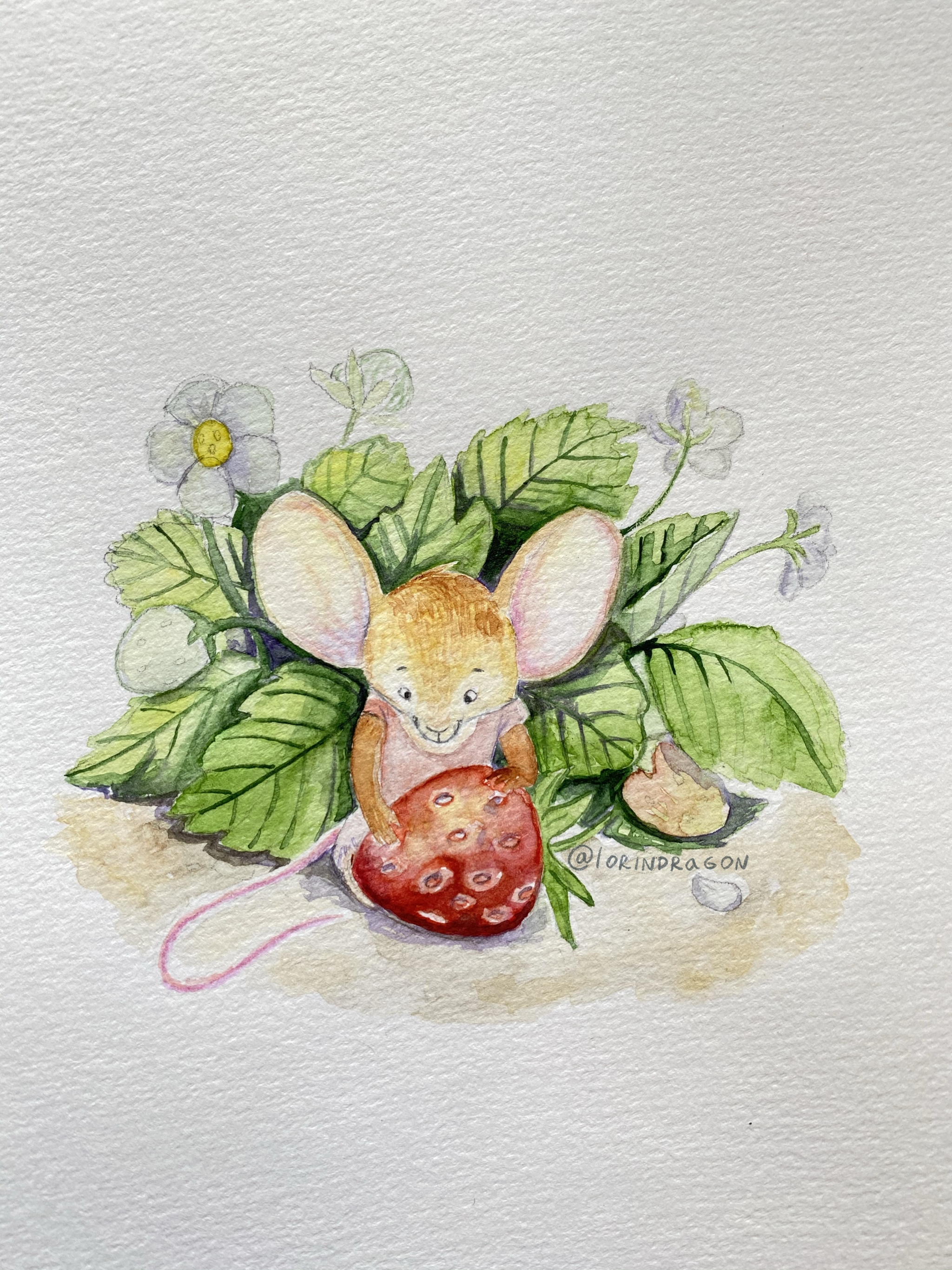 Mouse - My, Illustrations, Illustrator, Story, Watercolor, Longpost