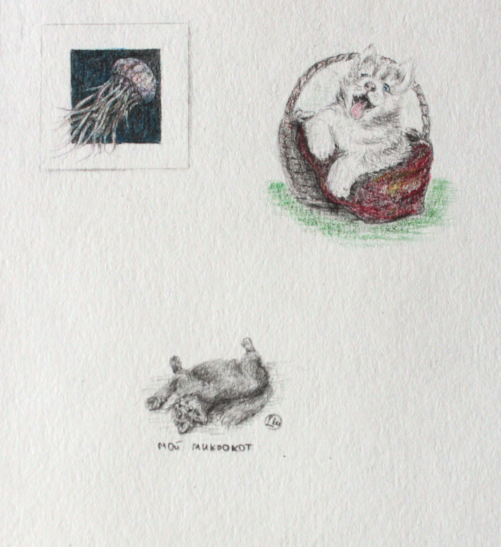 Micro animals. Continuation - My, Microworld, Drawing, Longpost