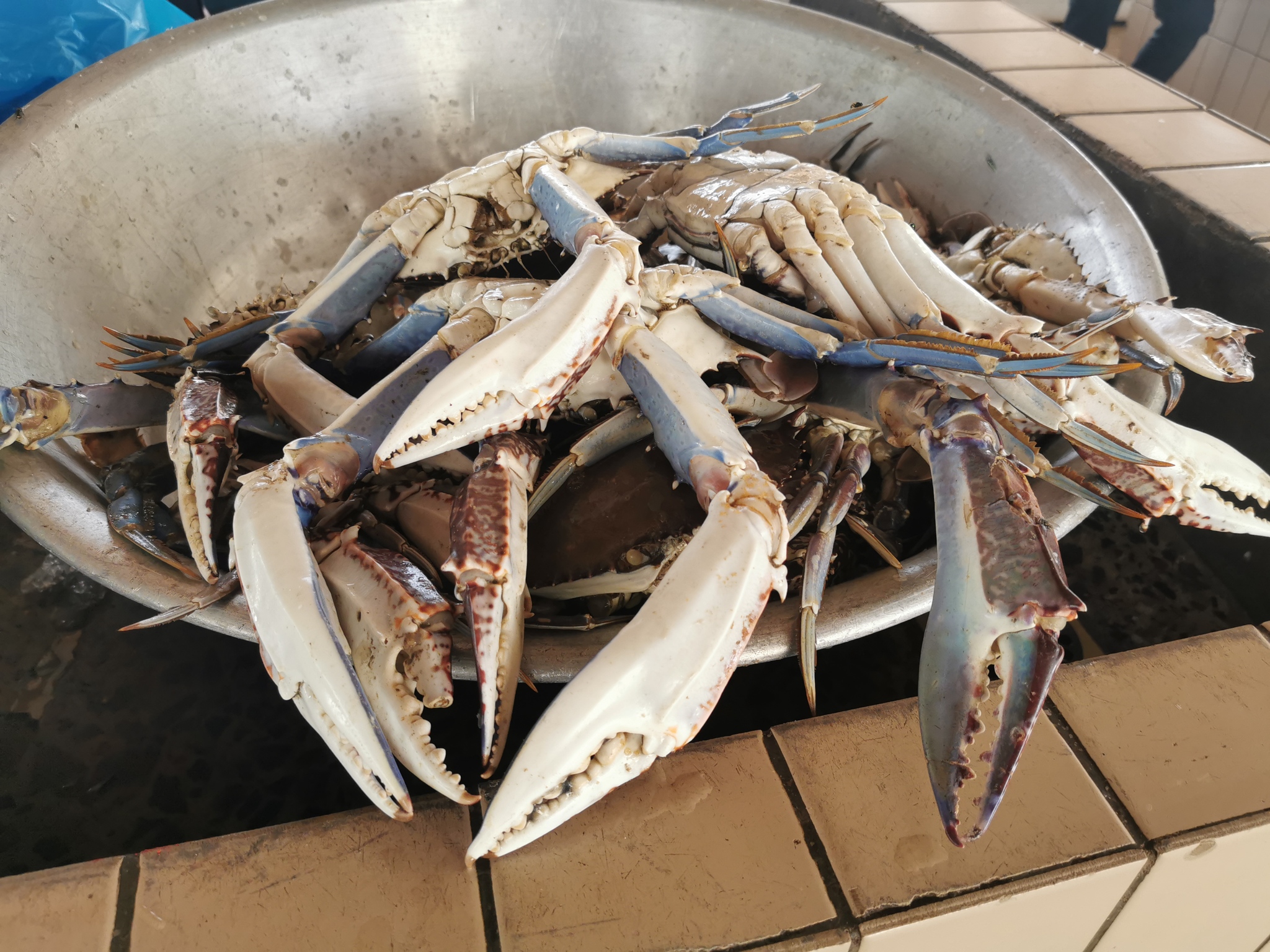 Gambas shrimp in a frying pan - My, Gabon, Cooking for the lazy, Longpost, Recipe