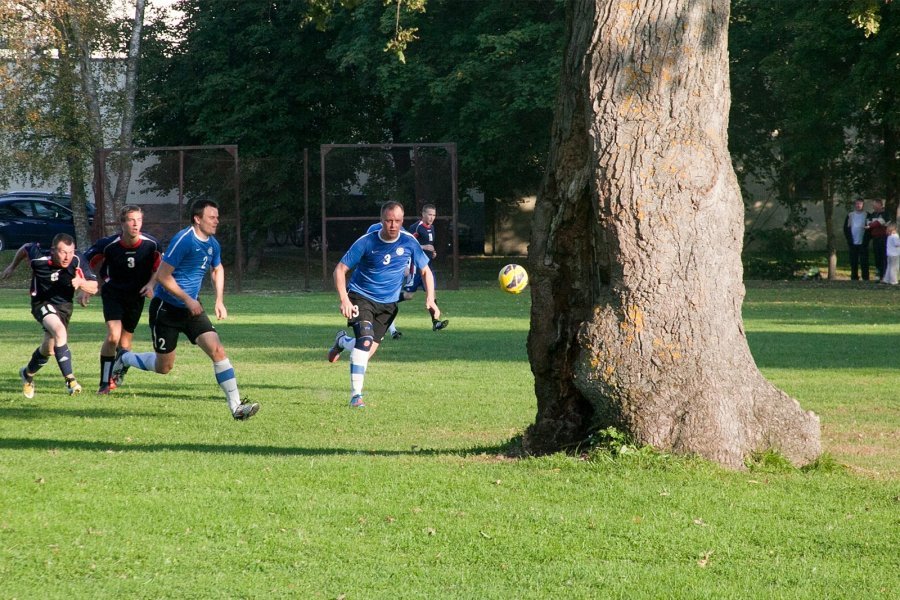 Orissaare is the only stadium in the world with a 150-year-old oak tree in the middle of the football field. - Oak, Football, Estonia, Nature, Video, Longpost