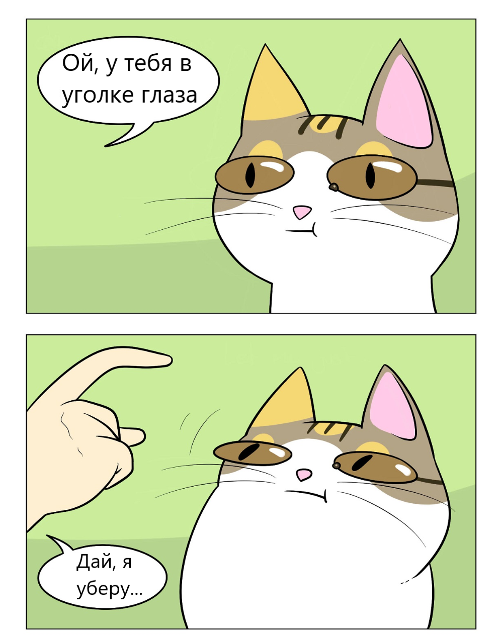 I'll just clean it up... - Comics, cat, Humor, Inyourfacecake, Longpost