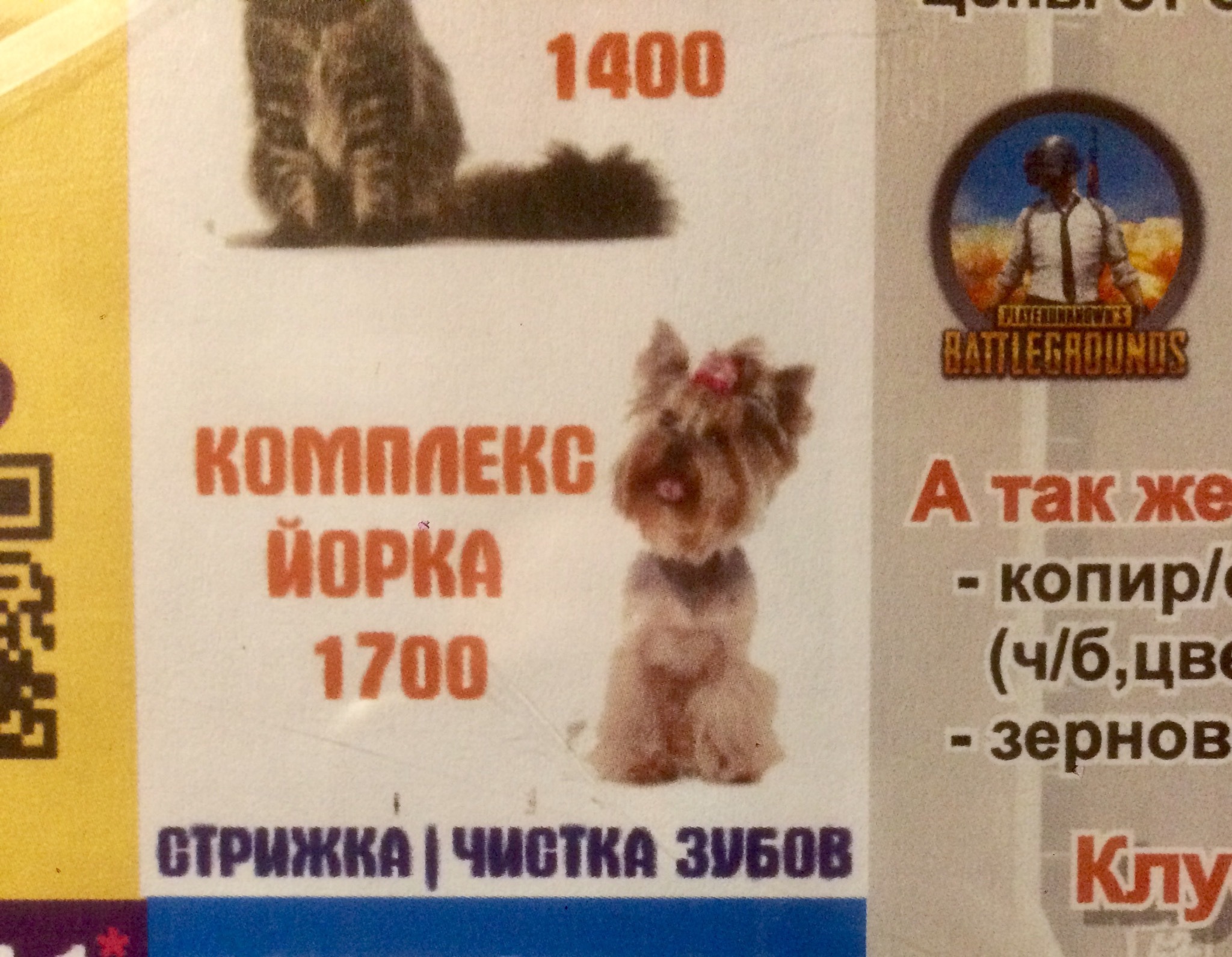 This is some psychotic bullshit - My, Прическа, Stylish hairstyle, Dog