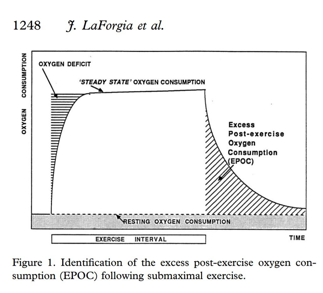 Effect of Post-Exercise Fat Burning (EPOC) - Nutrition, Diet, Metabolism, Fat