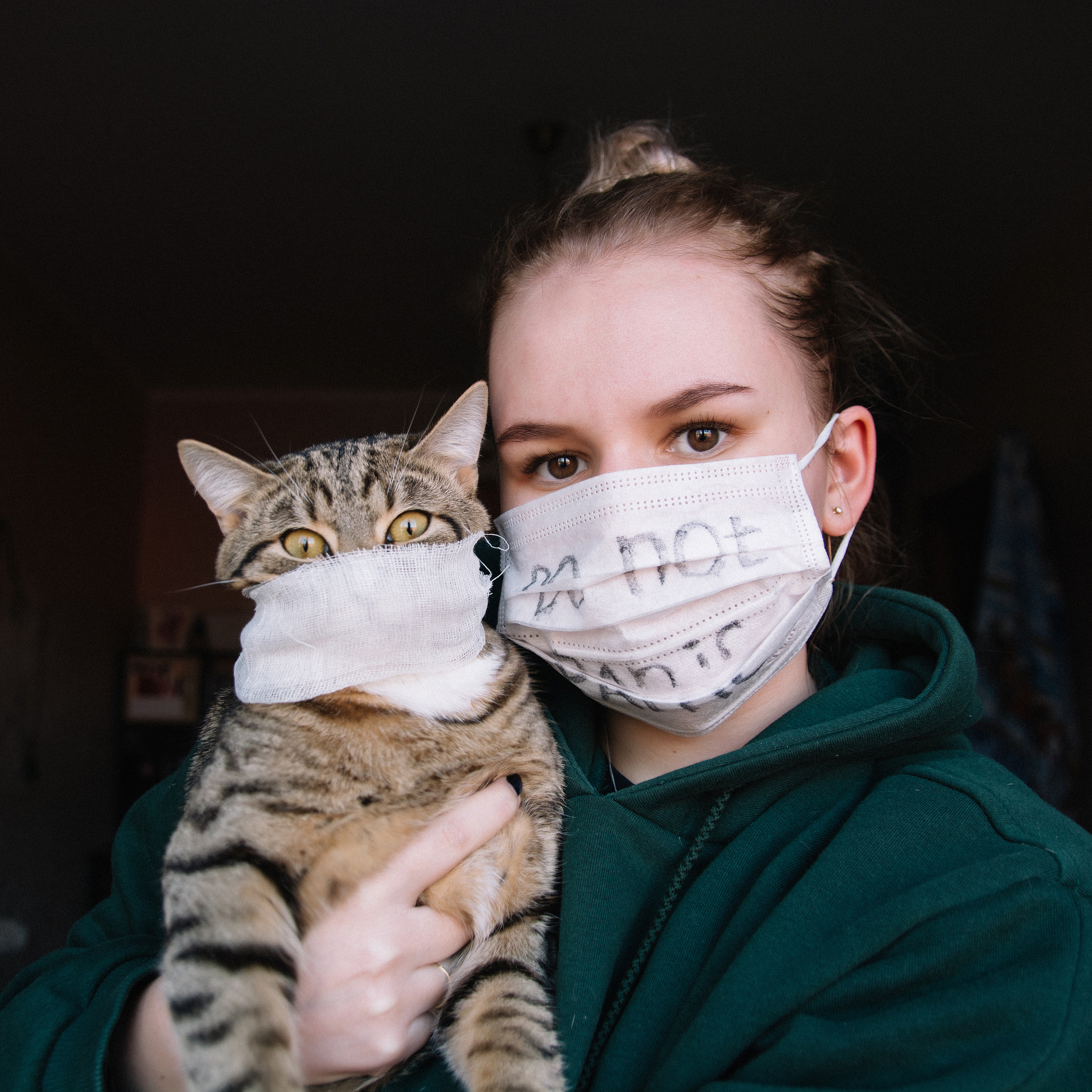 Do not panic,meow - My, Coronavirus, Pandemic, cat, Mask, Medical masks, Girls, Don't panic