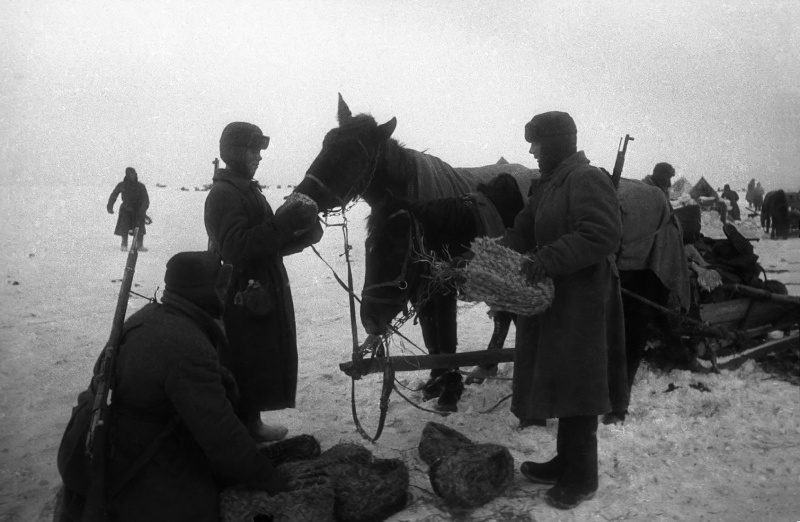 Wehrmacht fashion winter 1941 - 1942 -2 - My, The Great Patriotic War, The photo, Longpost