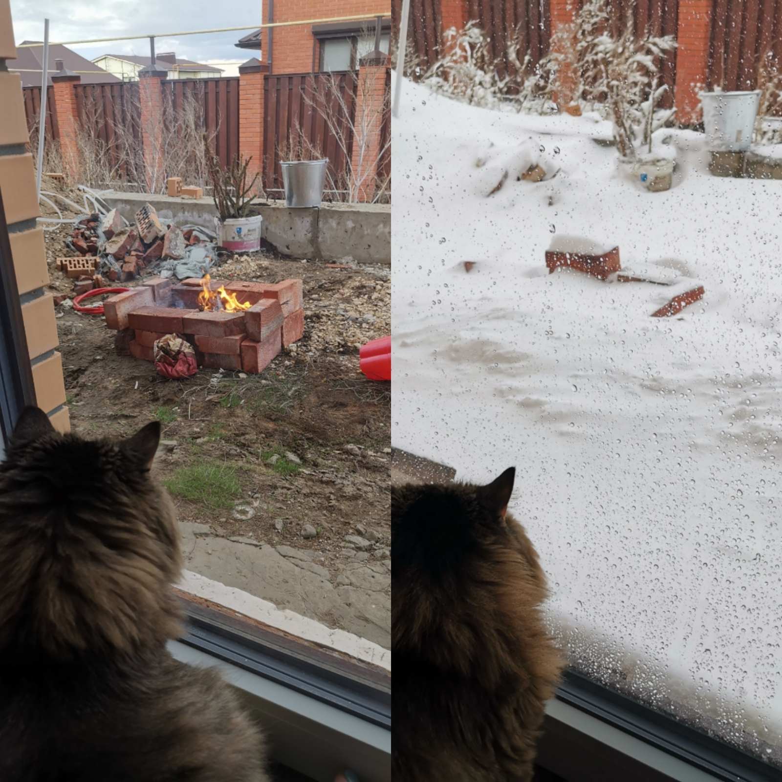 24 hours - My, Abnormal weather, cat, The winter is coming