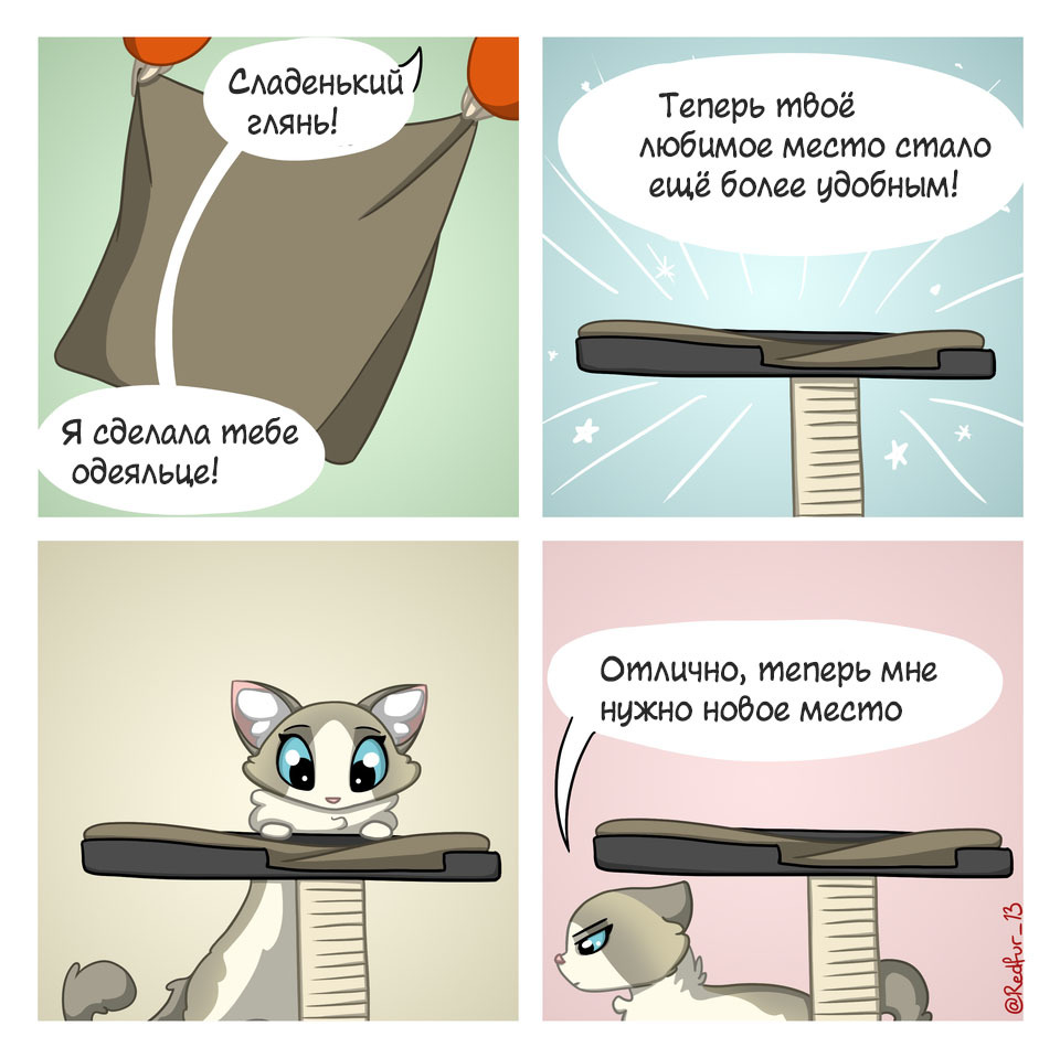 Blanket for a cat - Comics, A blanket, cat