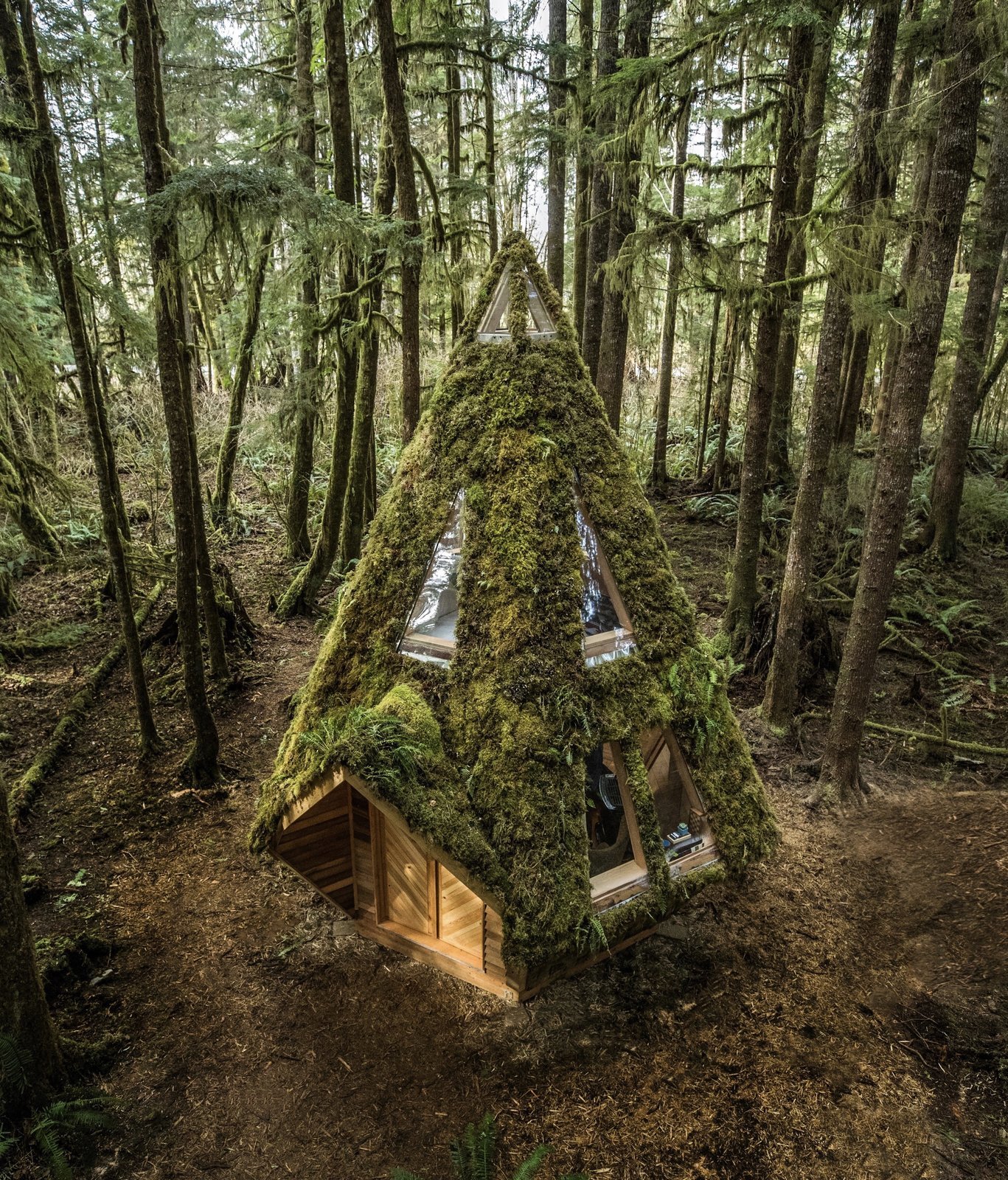 House in the forest - Architecture, Nature, Longpost