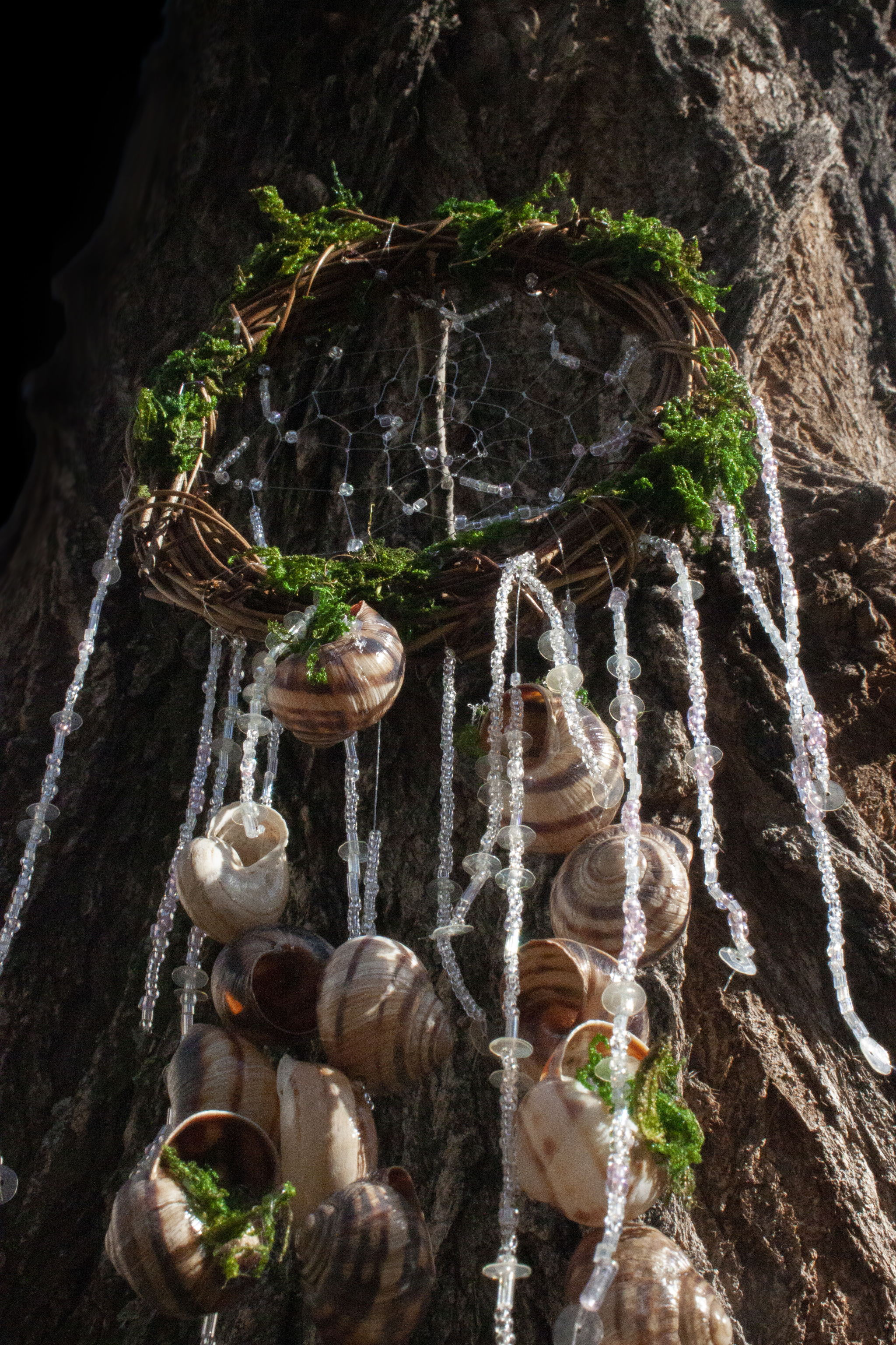 A piece of forest in a dream catcher - My, Dreamcatcher, Seashells, Needlework, Esoterics, Chersonesos, Forest, Longpost