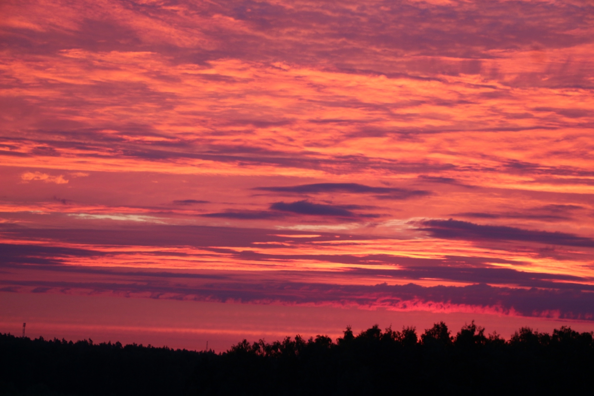 Summer sunrise - My, Summer, Sunrise, Sunrise, Nature, The nature of Russia, Landscape, Sky