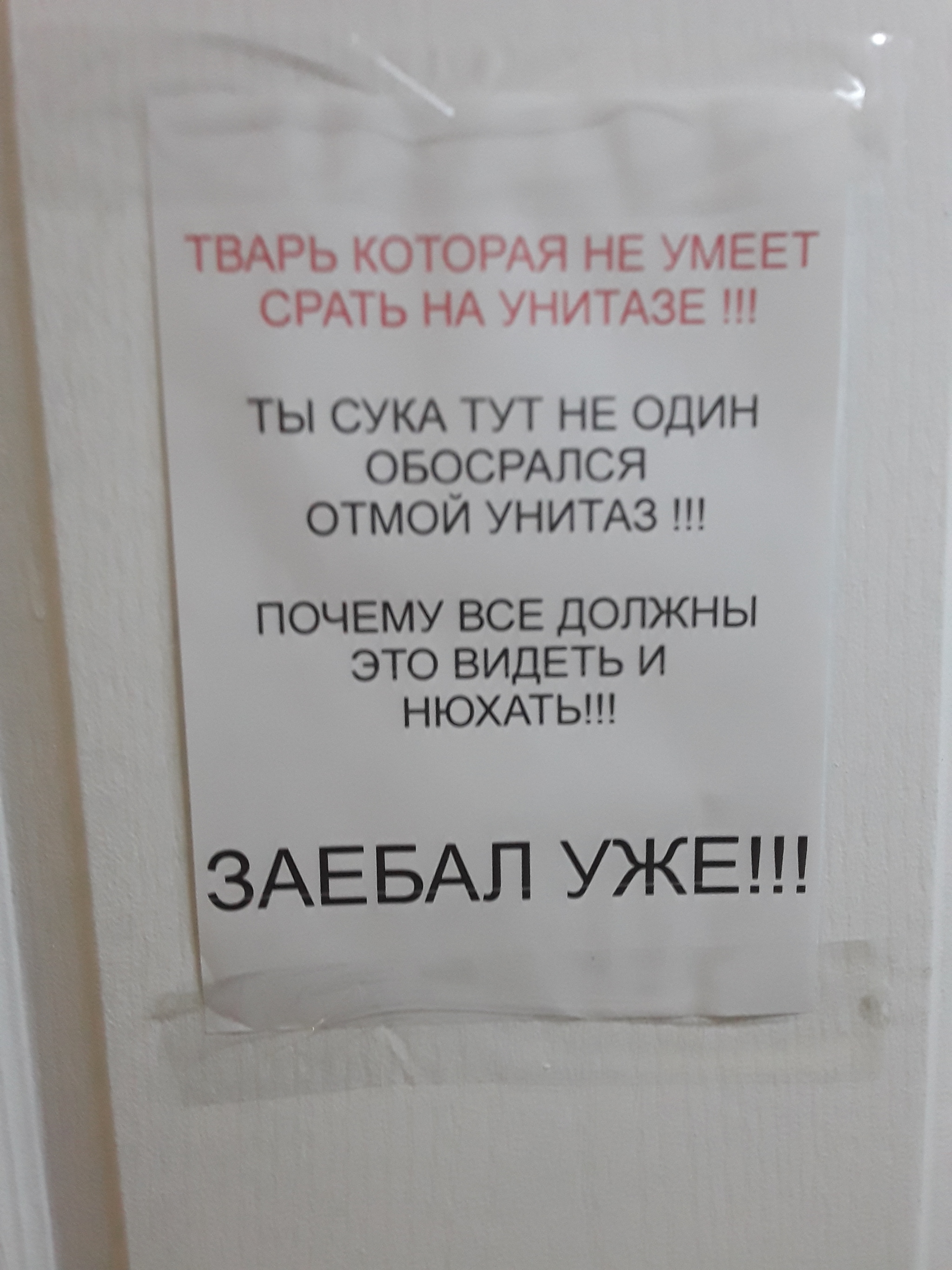 Good morning)) - My, Announcement, Toilet, Humor, Mat