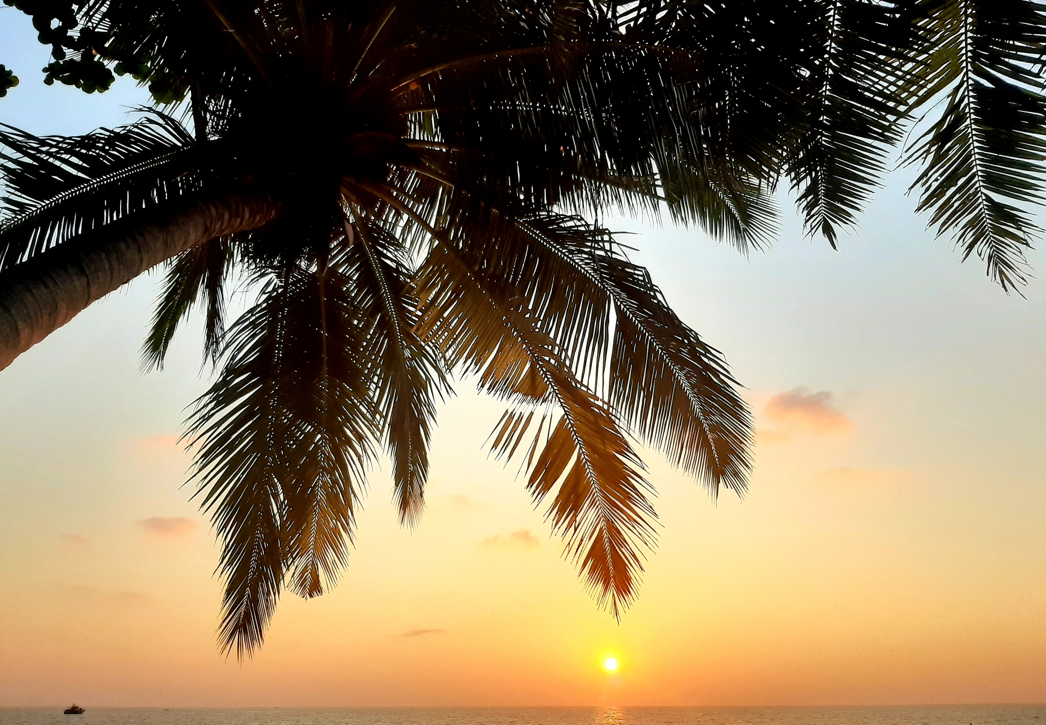 Sunset - My, Sunset, Sea, Sadness, Phuket