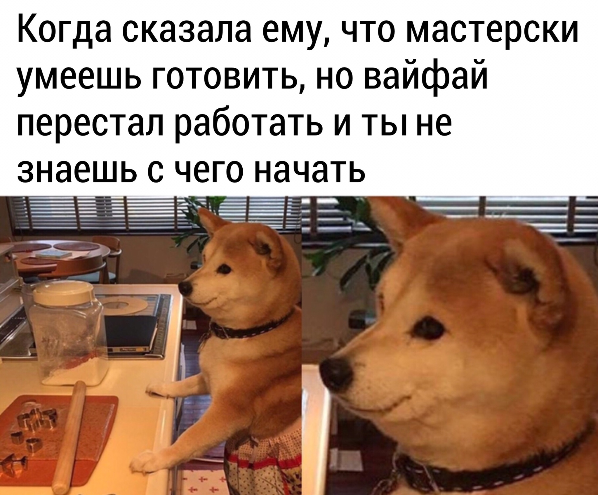 It was awkward - Dog, Picture with text, Shiba Inu, Cooking, Pets