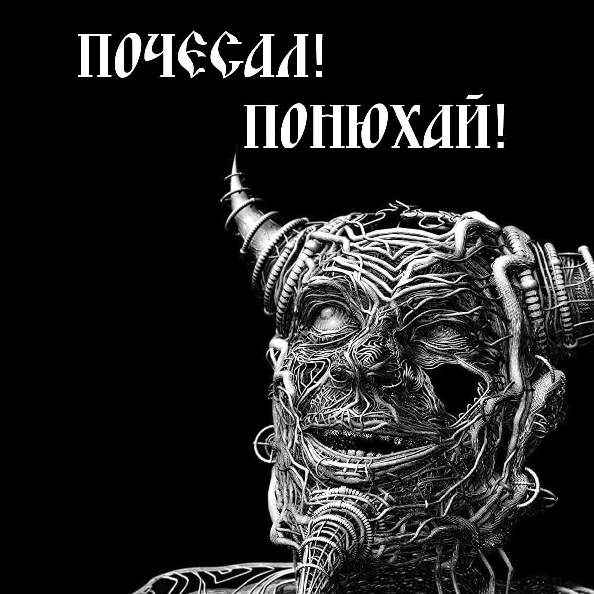 Поговорки от Алёши | Пикабу