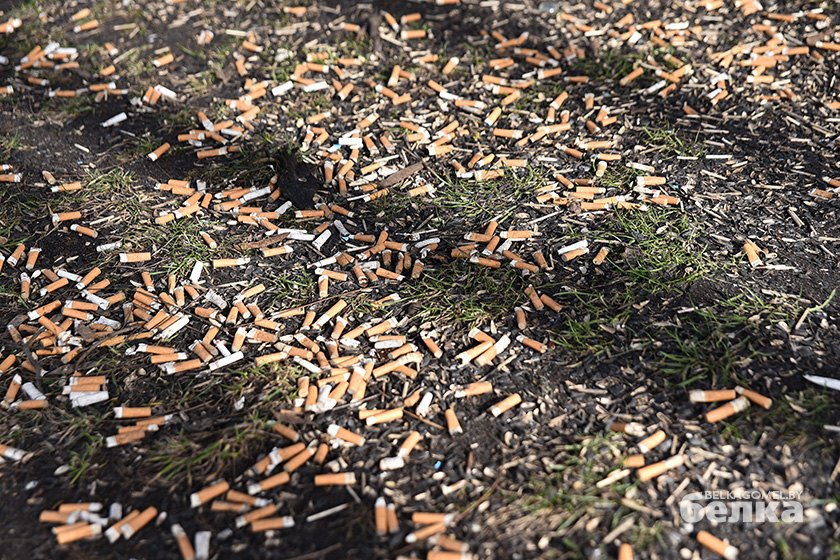 Cigarette Butts - My, Alexandrov, Separate garbage collection