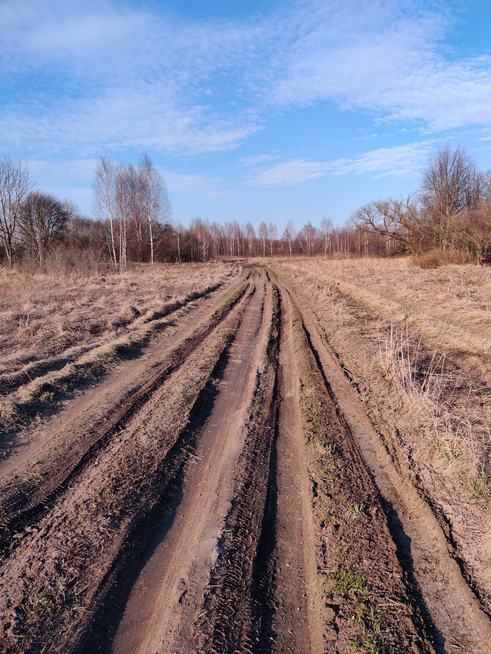 There is no peace for the fucked up, or how a Belarusian can get to Russia - My, No rating, Republic of Belarus, Coronavirus, The border, Mat, Longpost