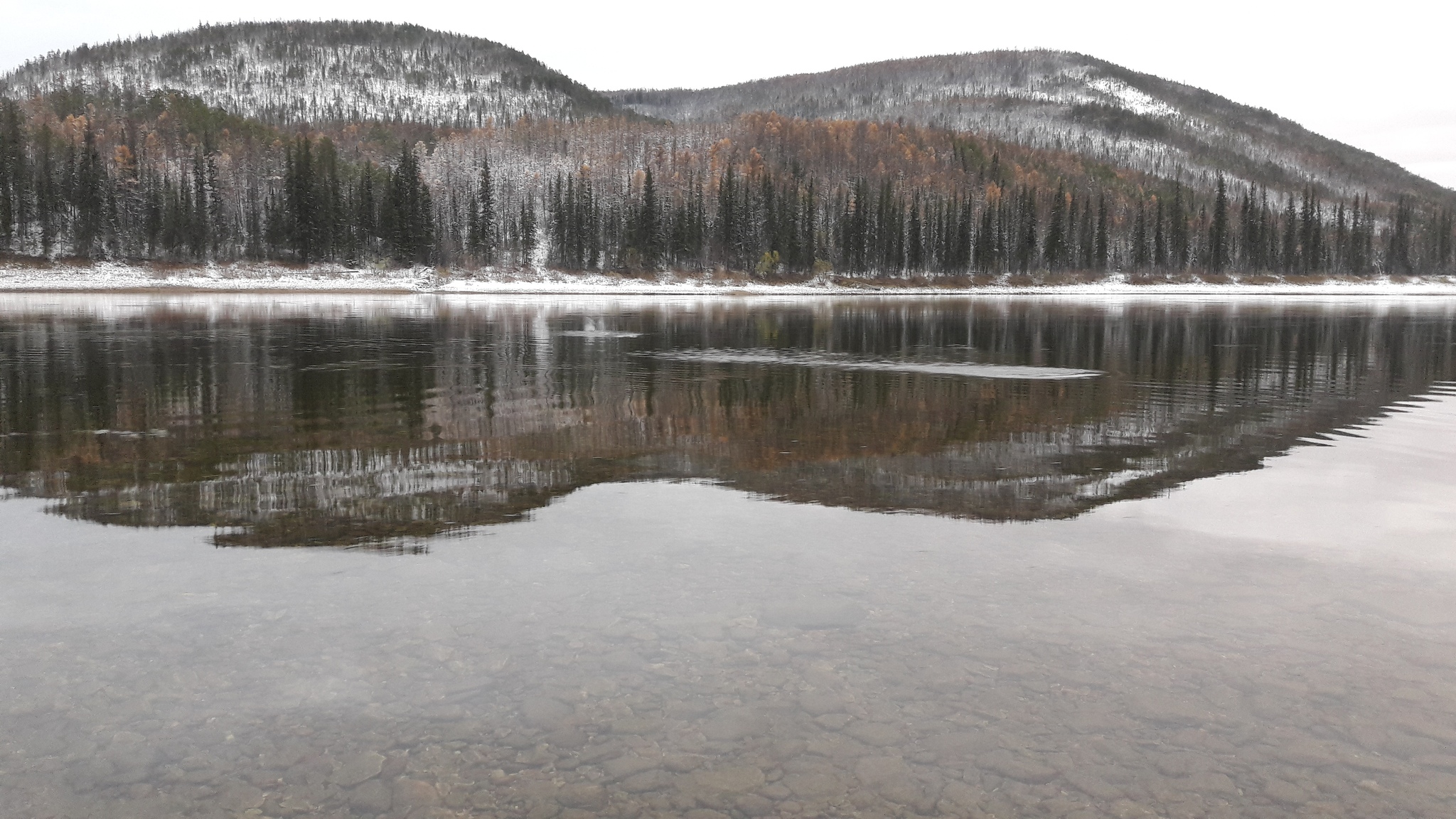 Yakutia, Olekminsky ulus, a little autumn. - My, Yakutia, Olekminsk, Taiga, Weekend, Autumn, Chalet, Longpost, The photo