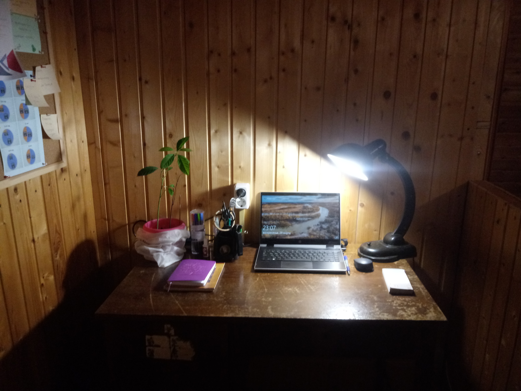 Self-isolation at the dacha - My, Avocado, Self-isolation, Workplace, Desktop, Remote work, Dacha, Quarantine