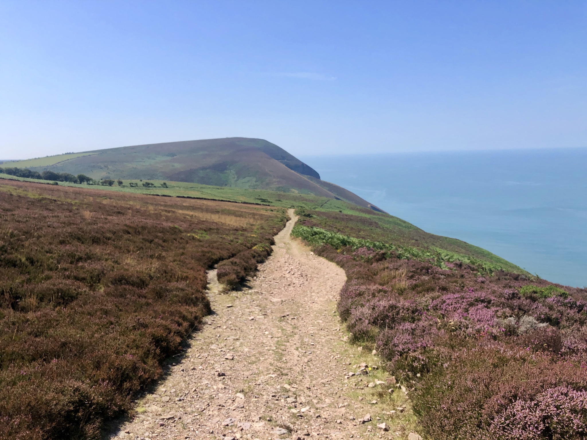 Walk through Heddon Valley, North Devon, England (part 2) - My, Great Britain, England, Walk, Hiking, Excursion, Mobile photography, Longpost