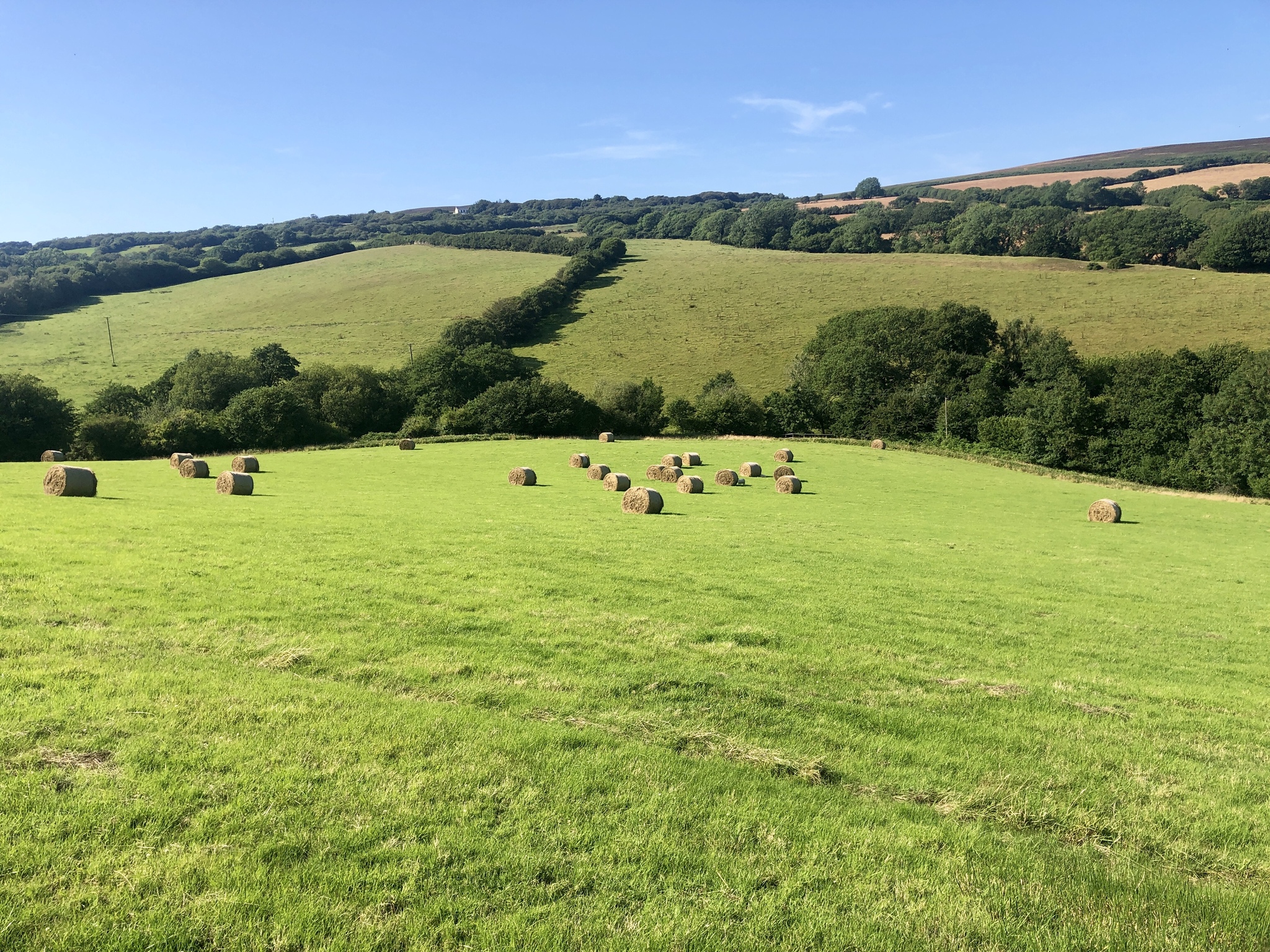 Walk through Heddon Valley, North Devon, England (part 2) - My, Great Britain, England, Walk, Hiking, Excursion, Mobile photography, Longpost