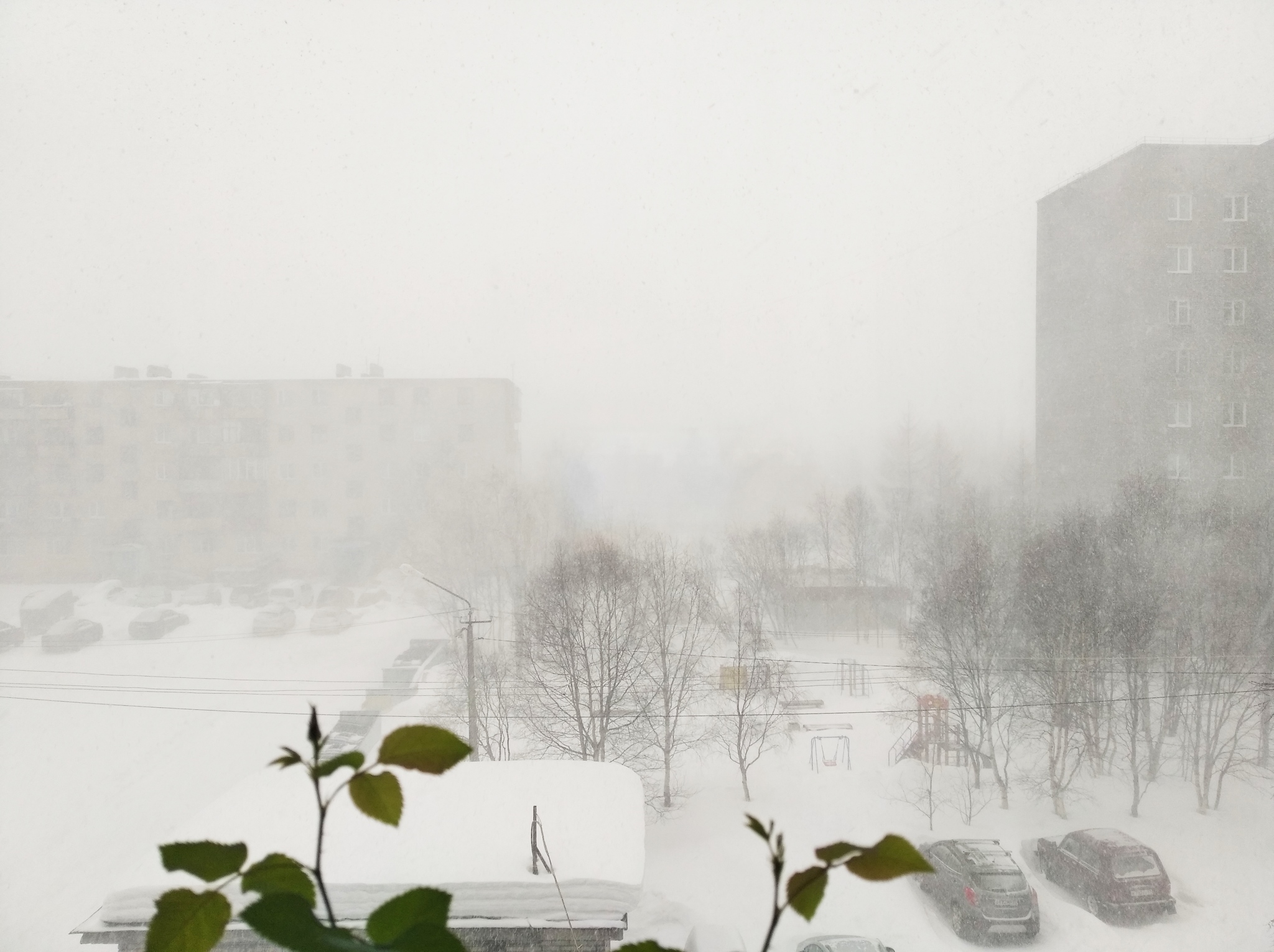 No one comes to our barbecue - My, Blizzard, Snow