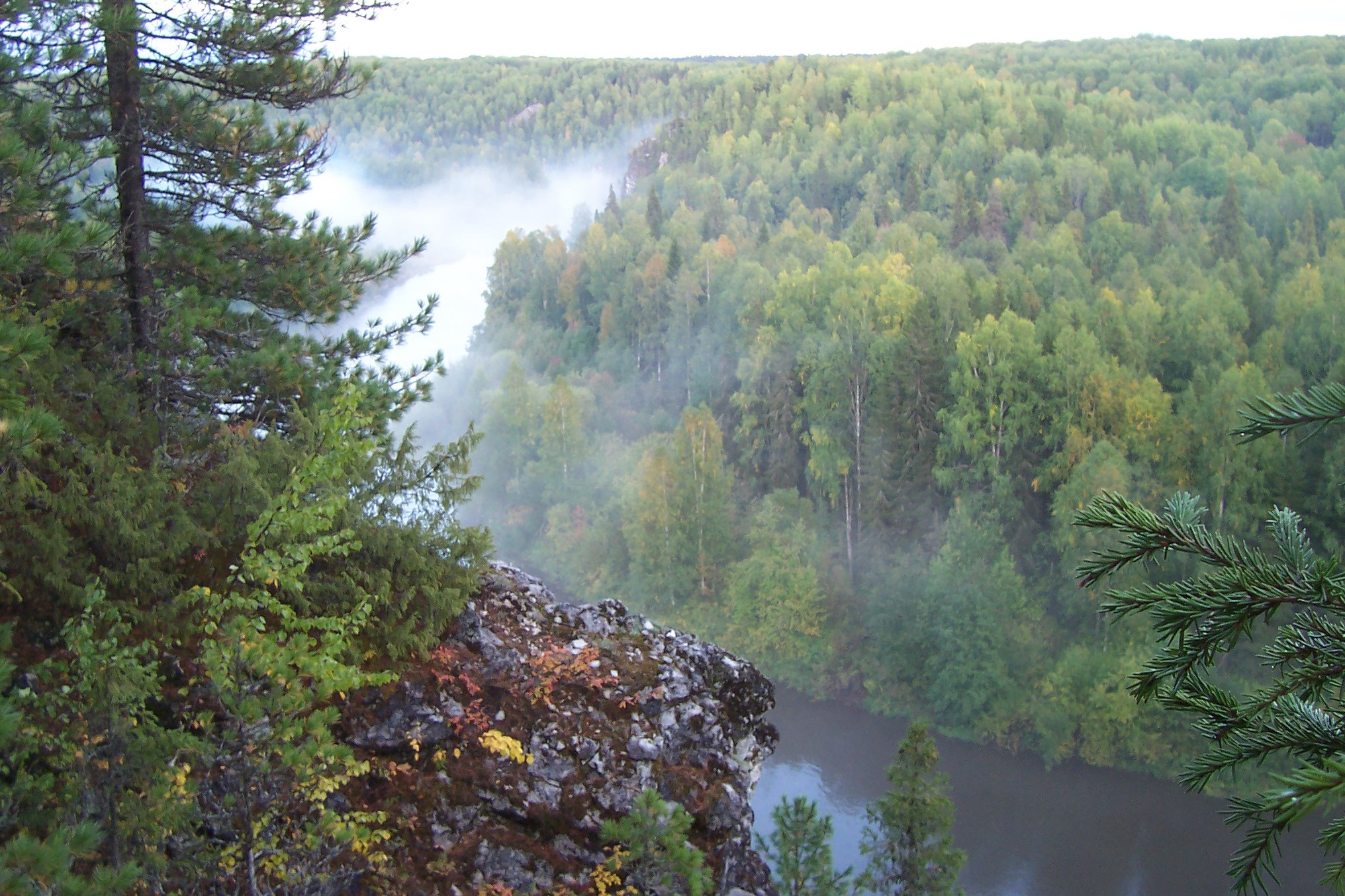 Forest farm Malye Zhaleiki. Adventure Retrospective - My, Taiga, Survival, Dialog, Longpost