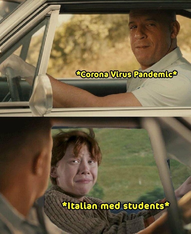 Honey. students in Italy and Dominic Toretto - Italy, Coronavirus, Dominic Toretto, Harry Potter, Society