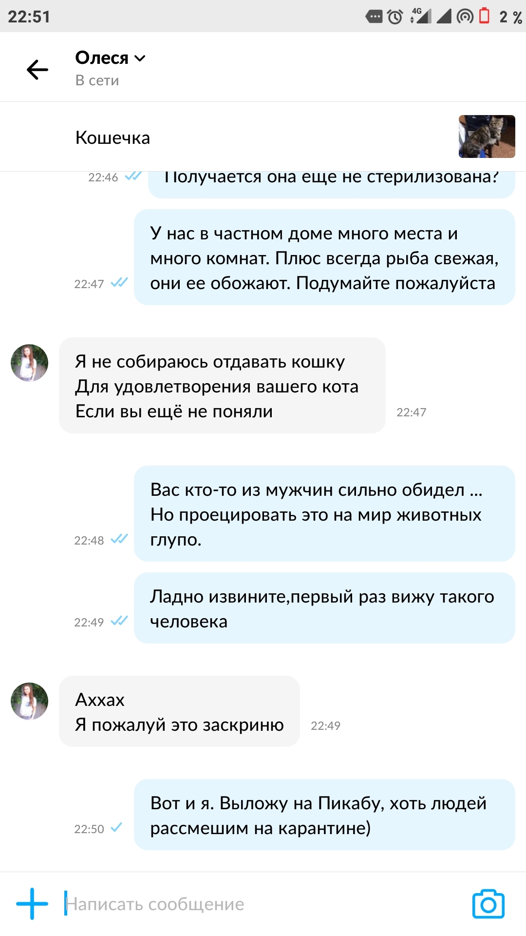 На траходром не отдаю... - Авито, Кот, Траходром, Длиннопост, Размножение, Странности