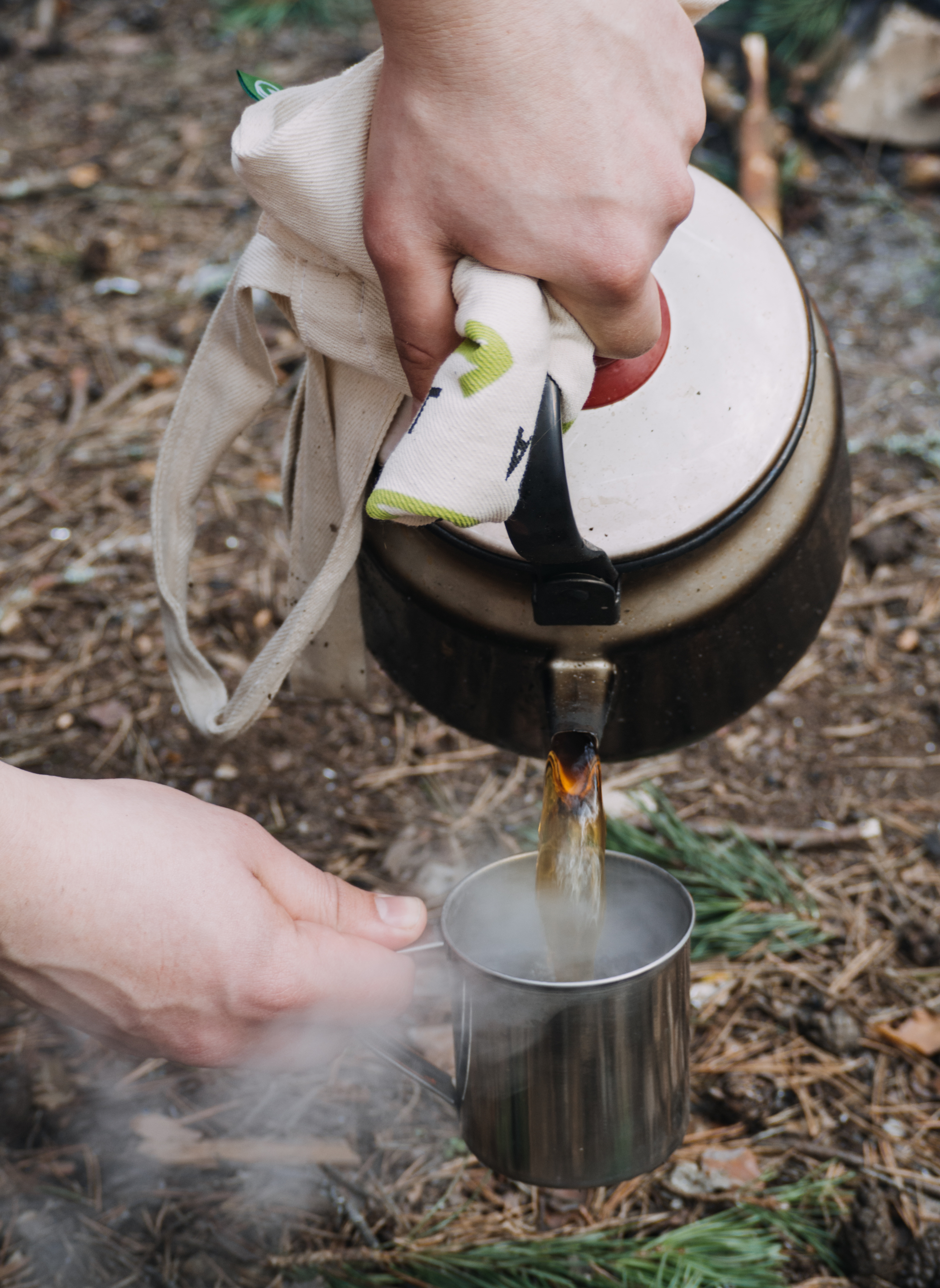 wood gull - My, Forest, Tea, The photo, Longpost