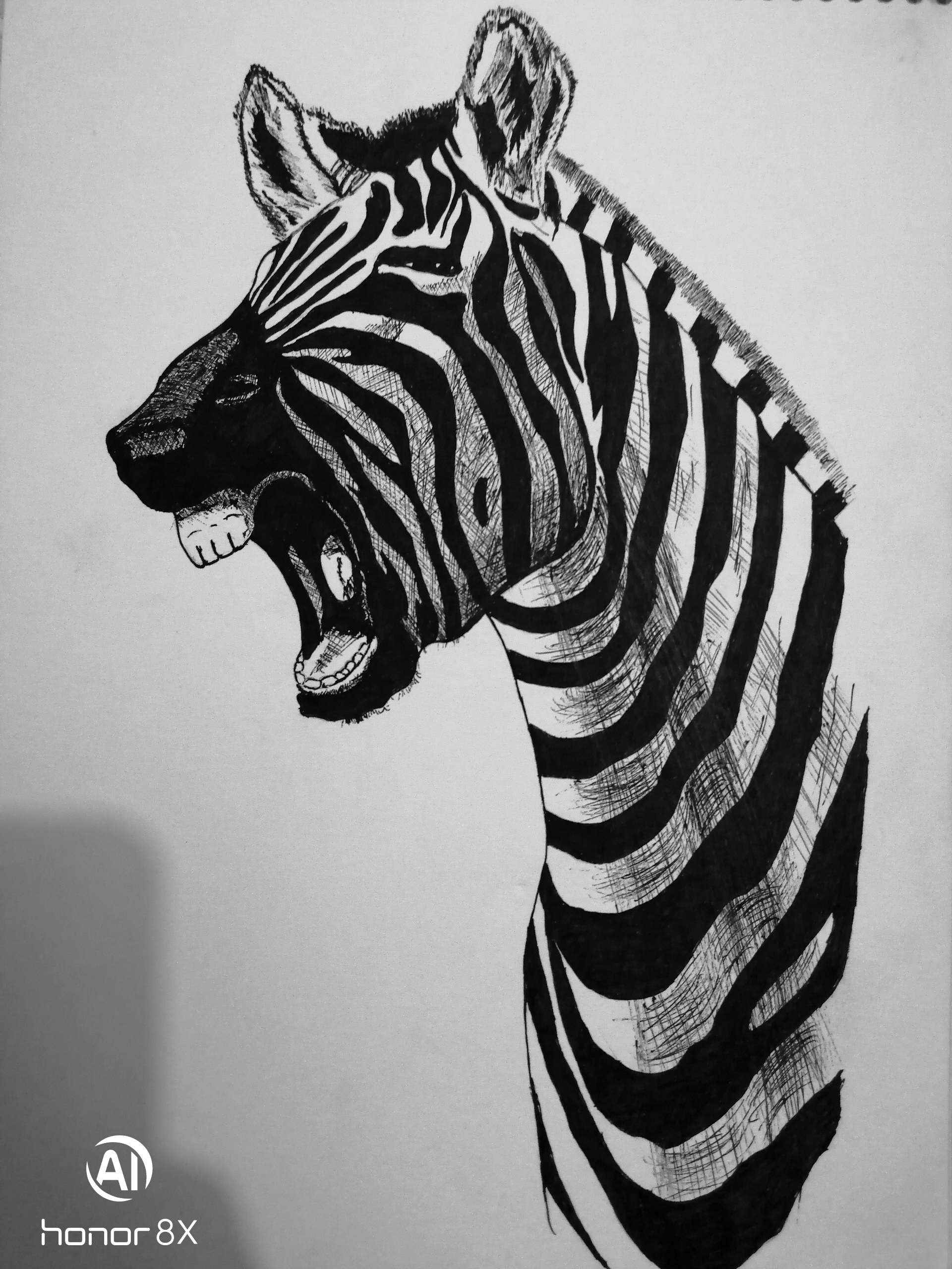 Donkey sailor - My, Drawing, Pen drawing, zebra