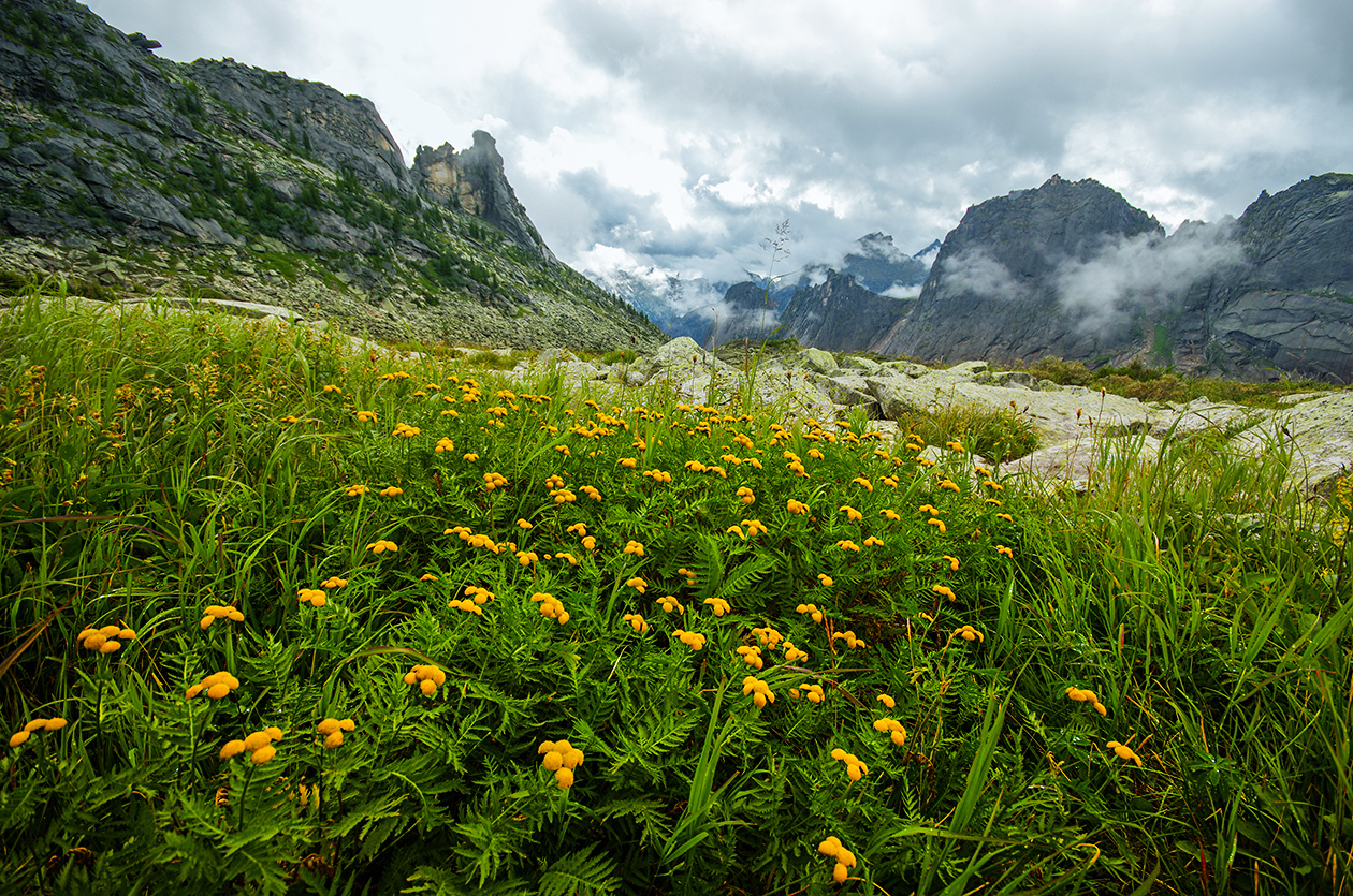 Let's go to fabulous Ergaki - My, Ergaki, Holidays in Russia, Leisure, Wild tourism, Landscape, The mountains, The photo, Longpost