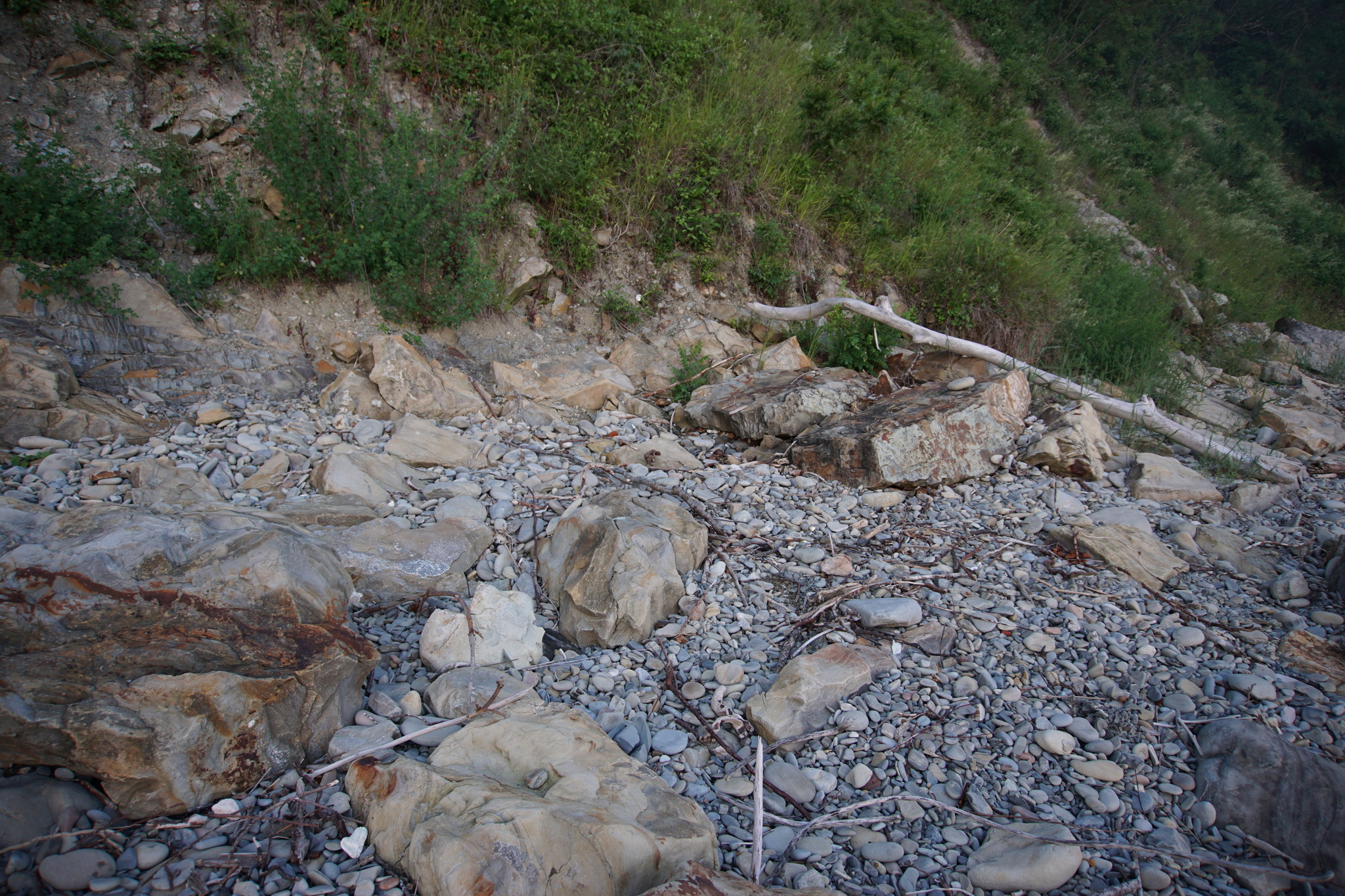 Beach cleaning - My, Chistoman, Beach, Garbage, Cleaning, Kiselev Rock, Longpost