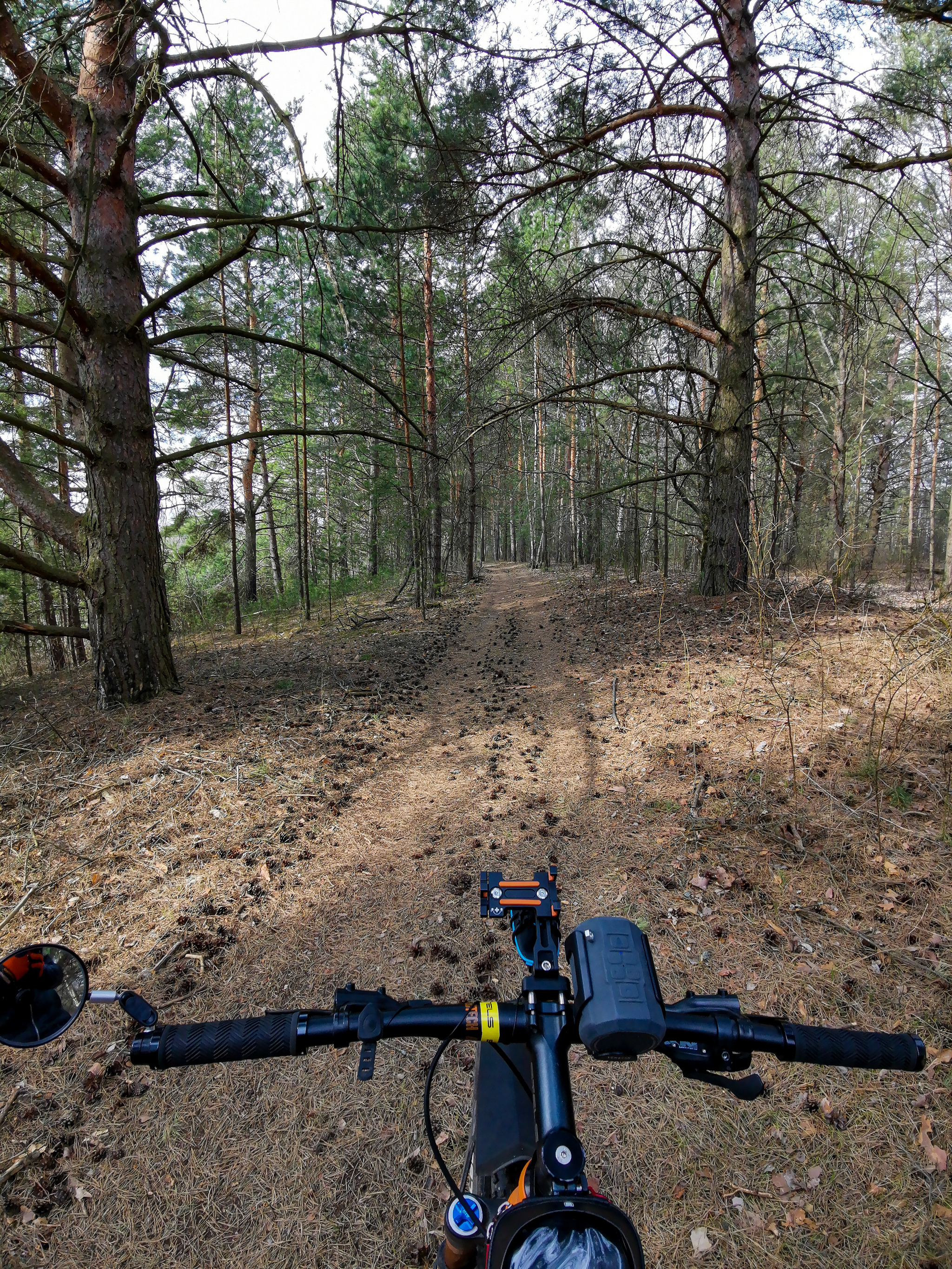 Spring - My, The photo, Nature, A bike, Dzerzhinsk, Canon 800D, Huawei mate 20, Video, Longpost