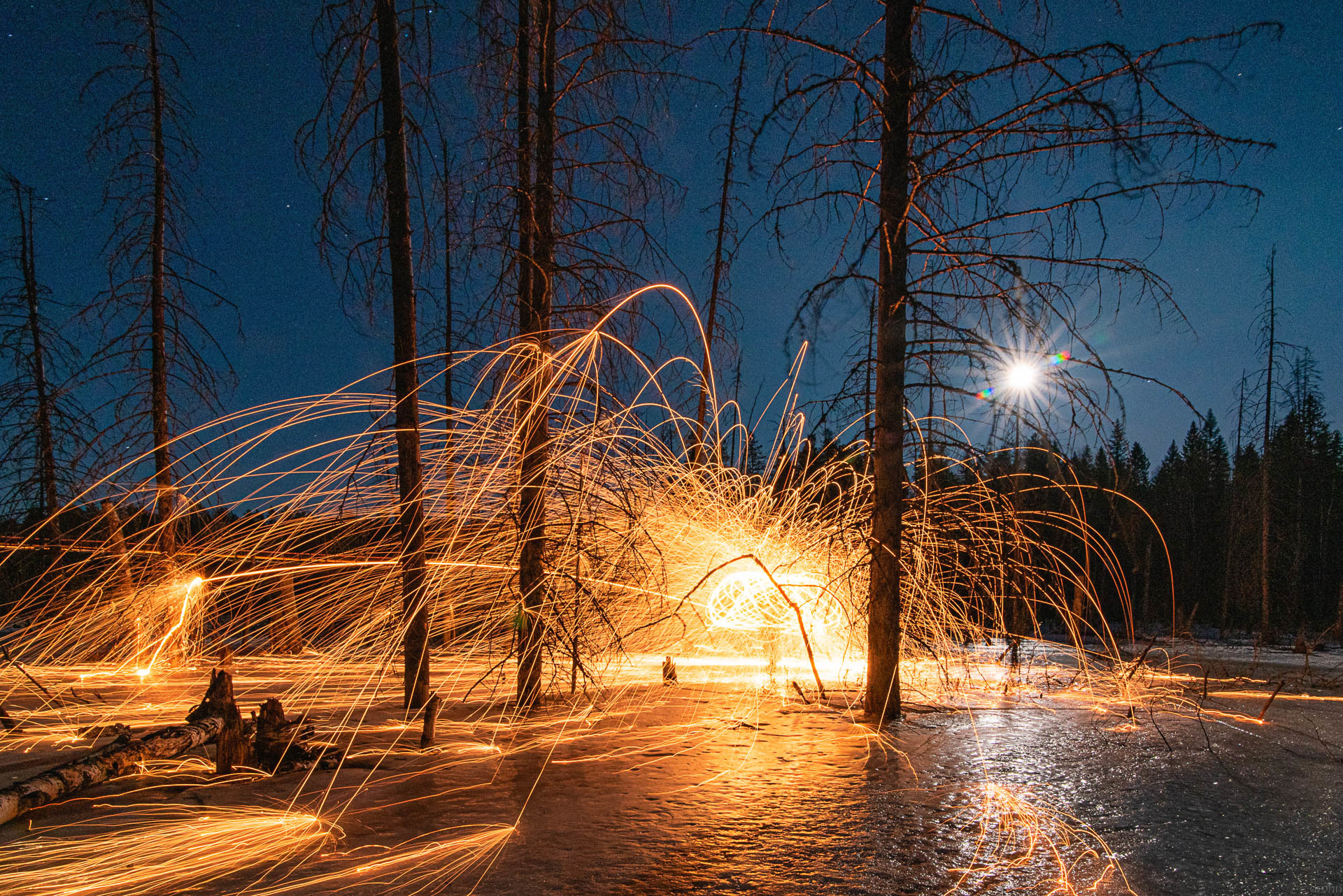 Moonlit night on a lake in a dead forest - My, Forest, Night, moon, Ural