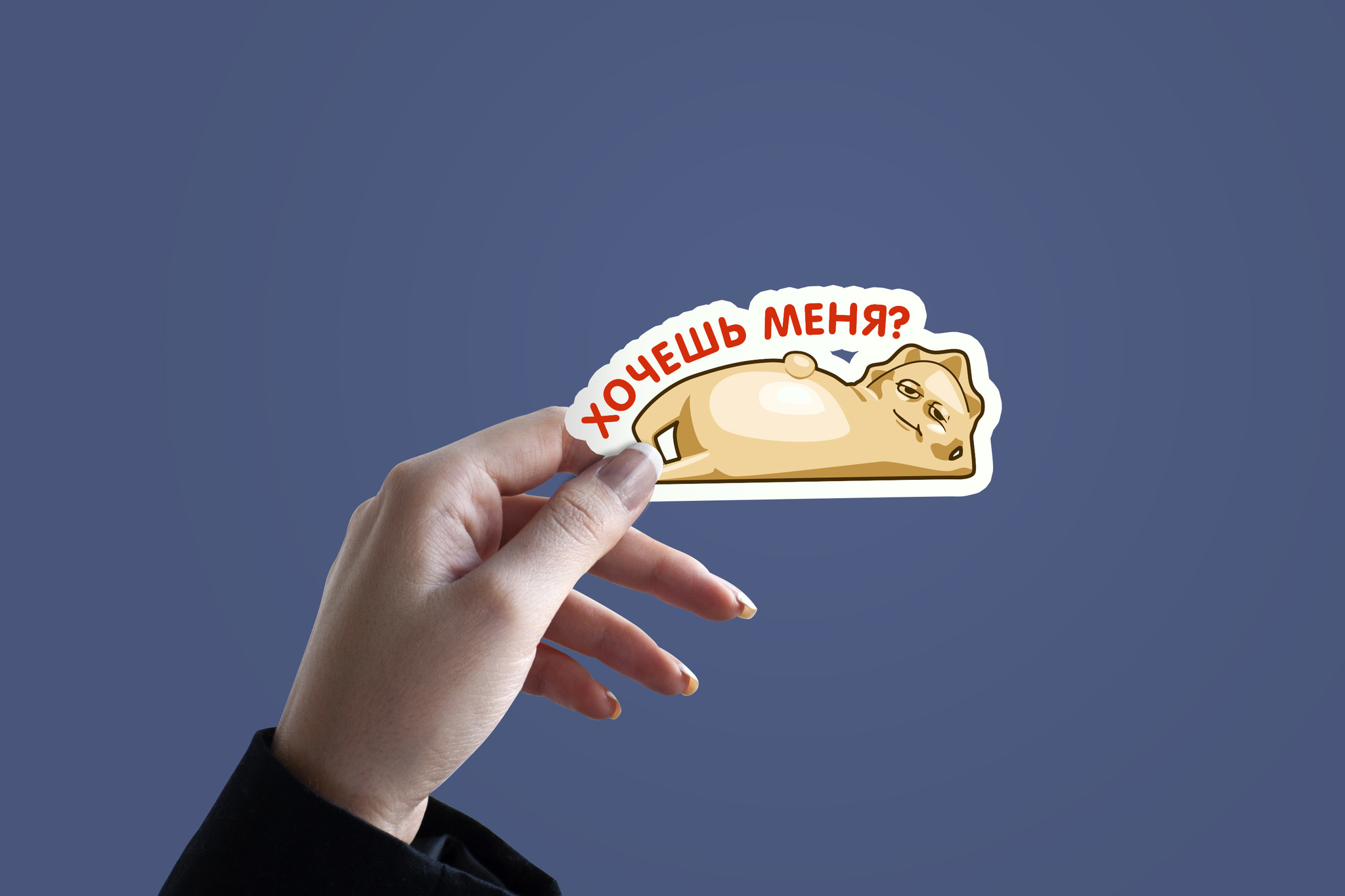 Stickers Pelmen Arkady - My, Dumplings, Stickers, Art, Drawing, Design, Sticker, Longpost