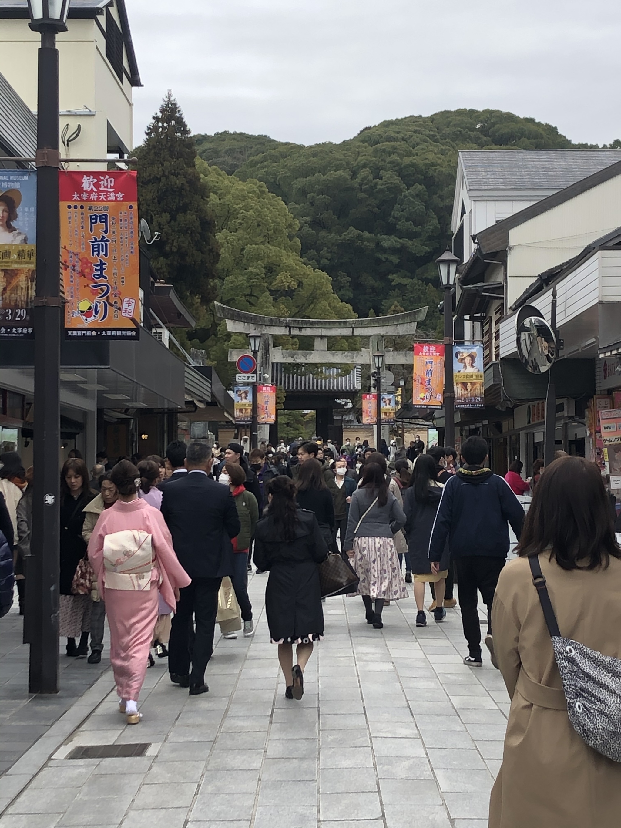 Unlucky notes about Japan. Rainy Fukuoka - My, Japan, Fukuoka, Sakura, Weekend travel, Longpost