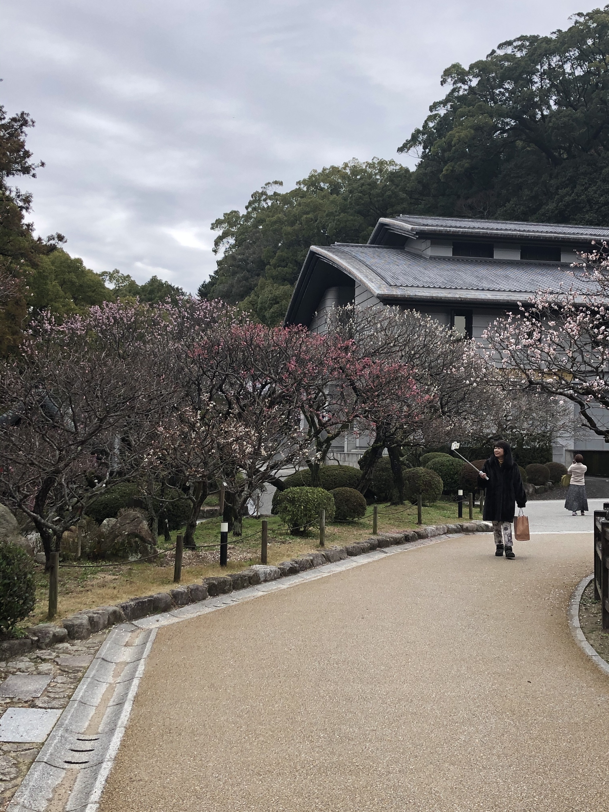 Unlucky notes about Japan. Rainy Fukuoka - My, Japan, Fukuoka, Sakura, Weekend travel, Longpost