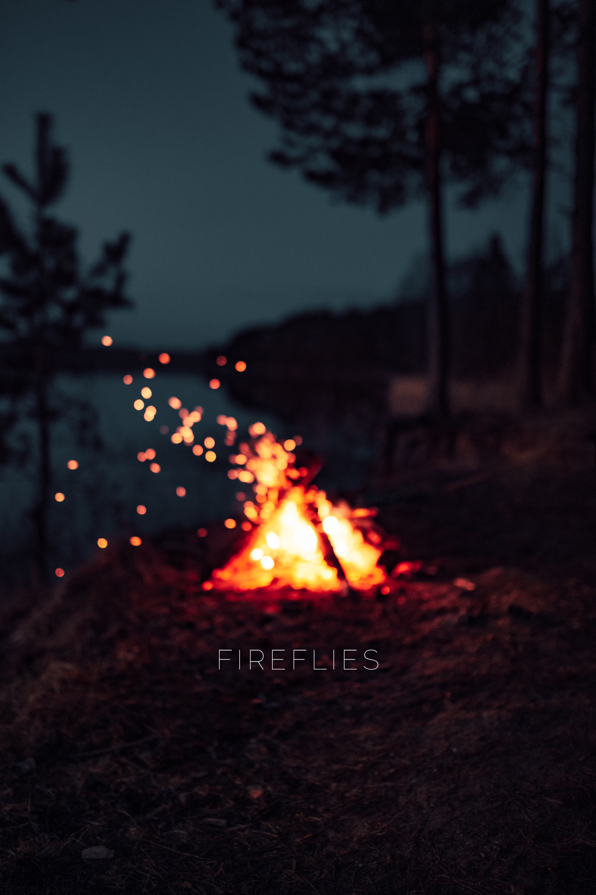 Food by the fire - My, Bonfire, Evening, Food, Sunset, Forest, Nature, Hike, The photo, Longpost