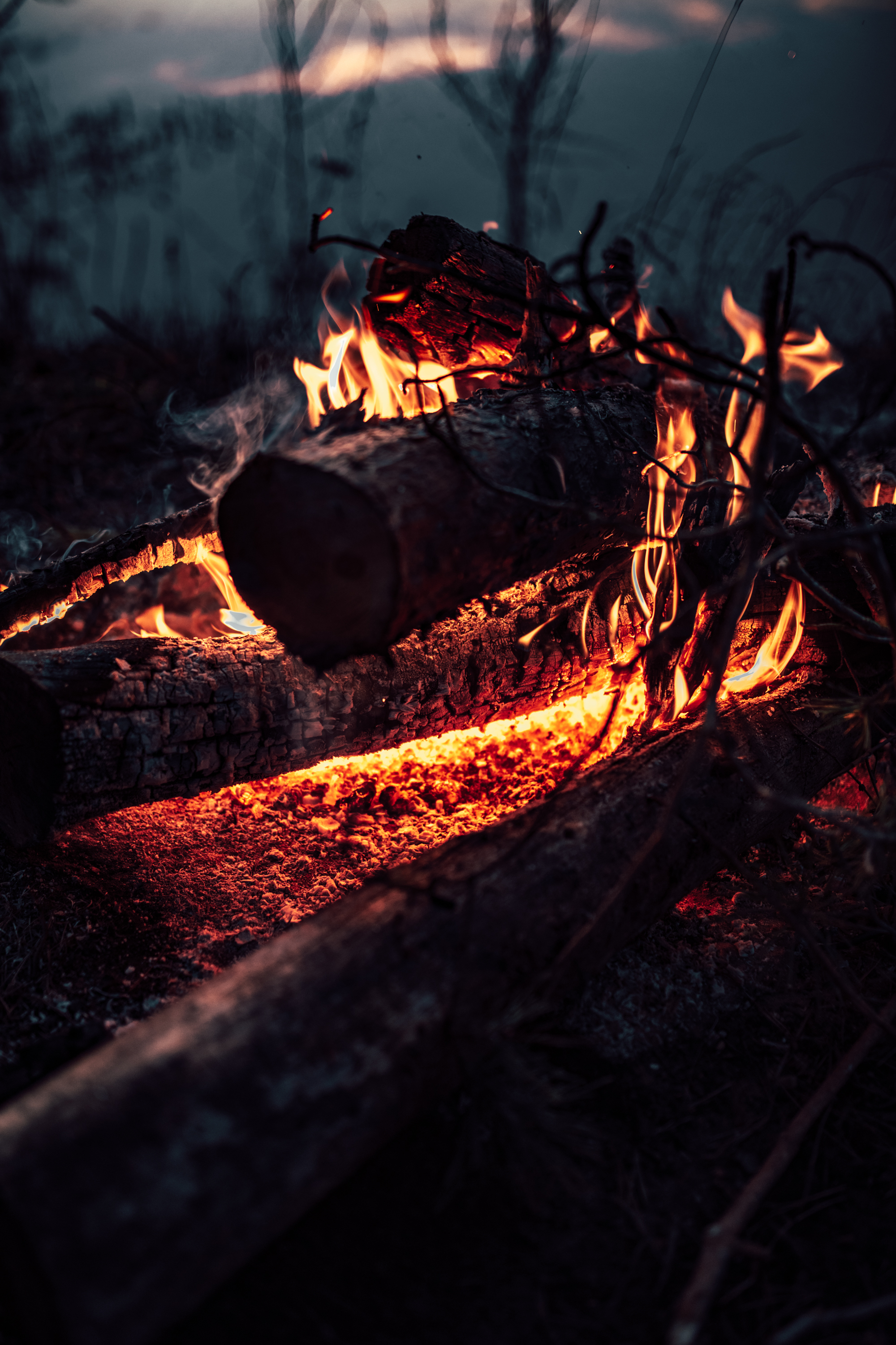 Food by the fire - My, Bonfire, Evening, Food, Sunset, Forest, Nature, Hike, The photo, Longpost