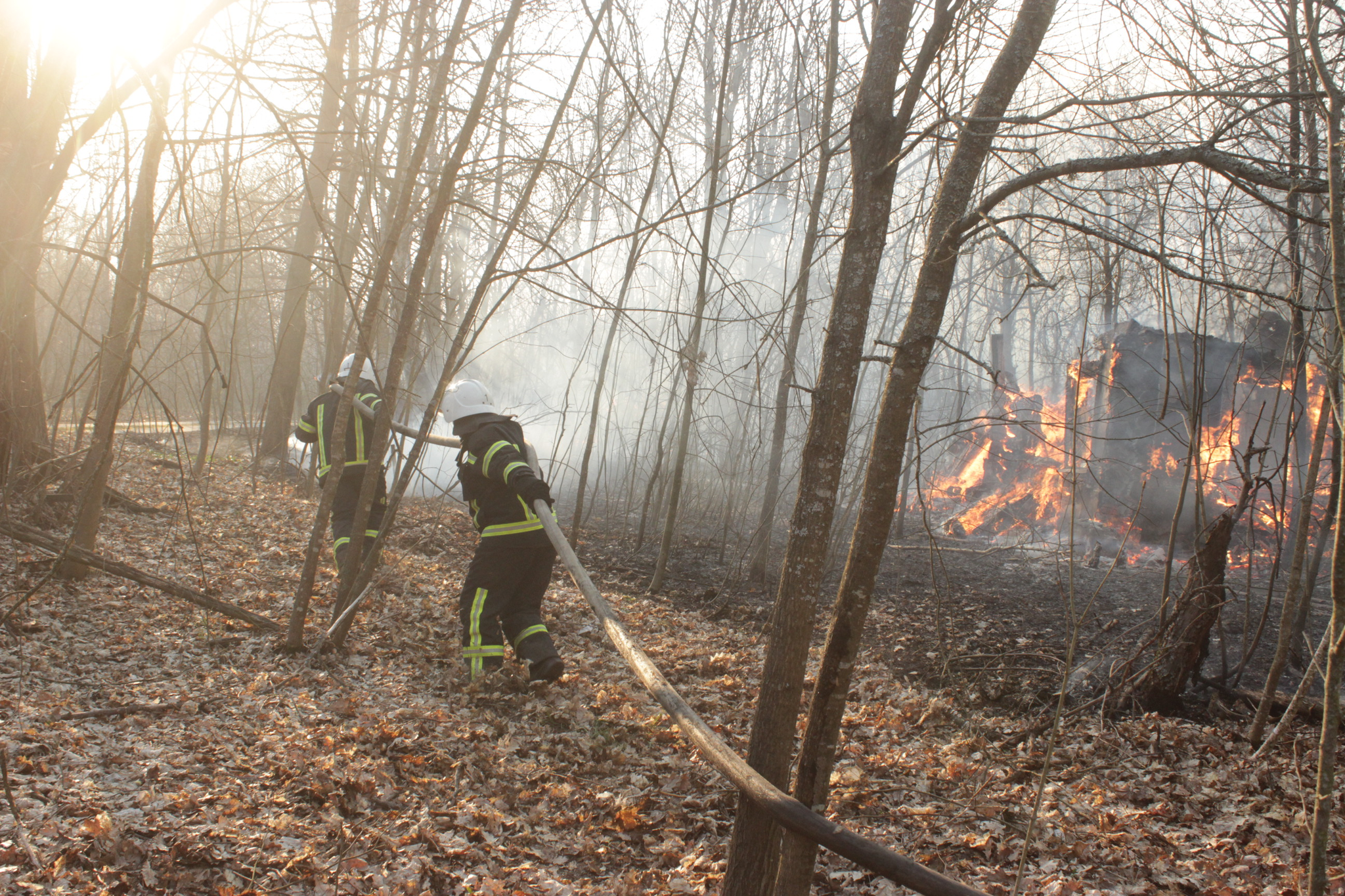 Fires currently raging in the Chernobyl Zone - Chernobyl, Fire, Video, Longpost