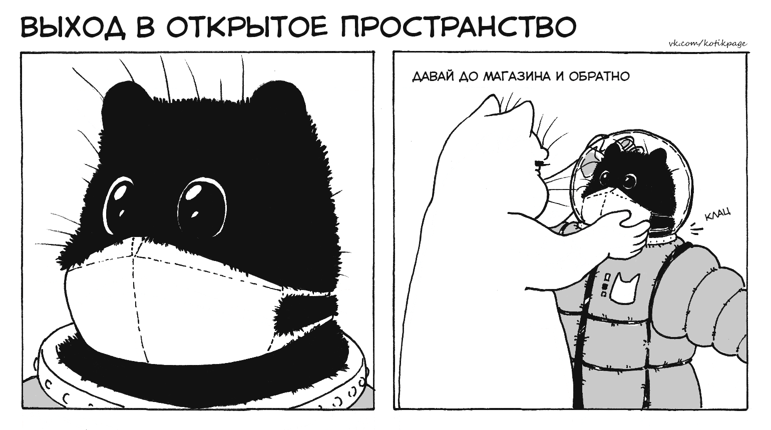 Happy Cosmonautics Day - My, cat, Comics, April 12 - Cosmonautics Day, Космонавты