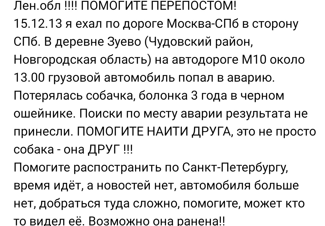 Голливудская история - Моё, Доброта, Собака, Чудо, Длиннопост