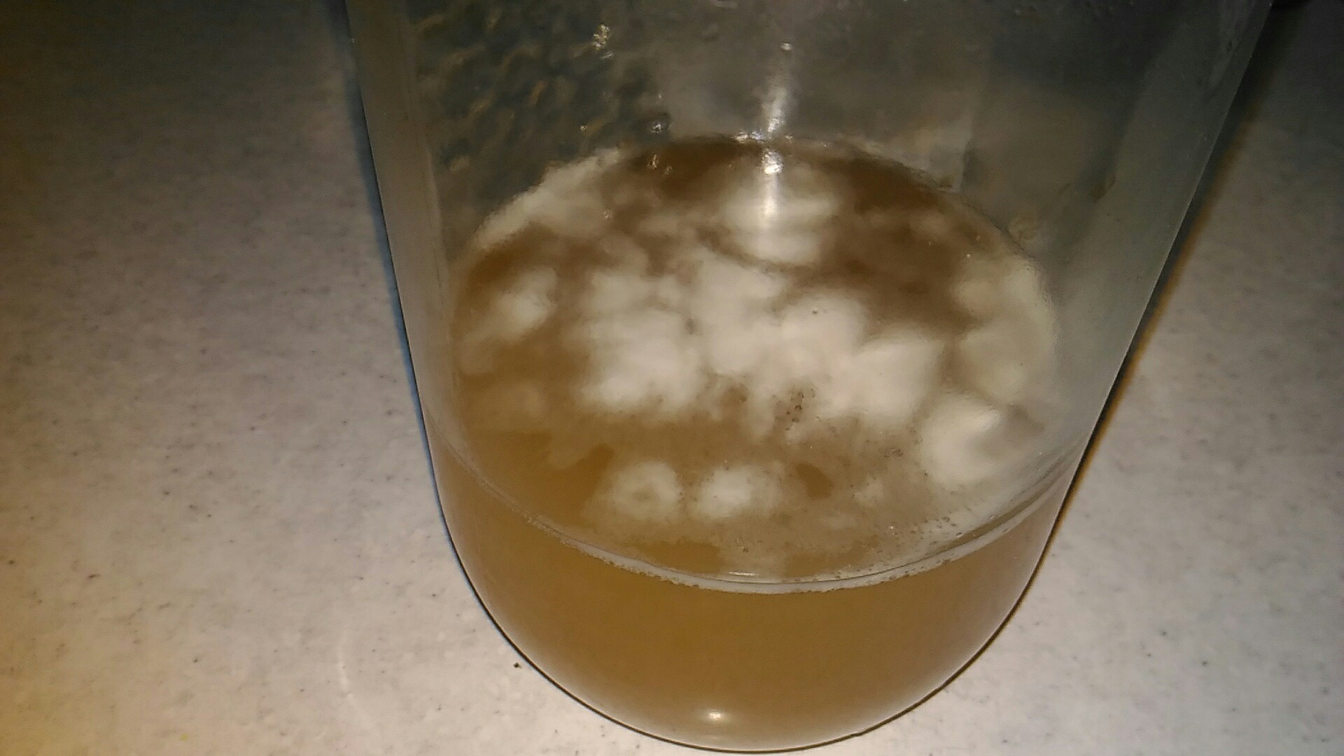 How to make a yeast starter for adding to beer wort. Quick start of fermentation and savings on yeast - My, Beer, Brewing, Yeast, Craft beer, Brewery, Longpost