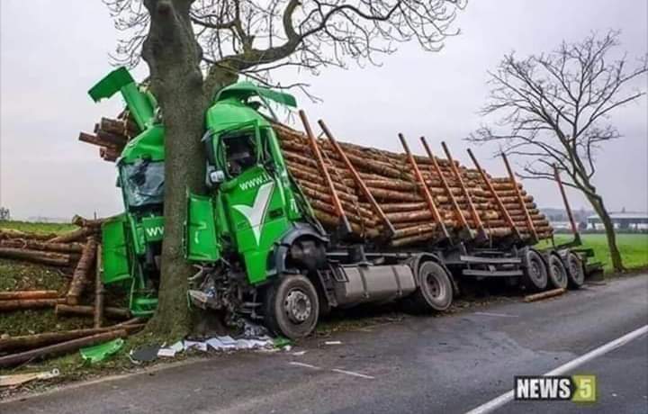 Their revenge is terrible... - Nature, Crash, Truck, Road accident, Tree