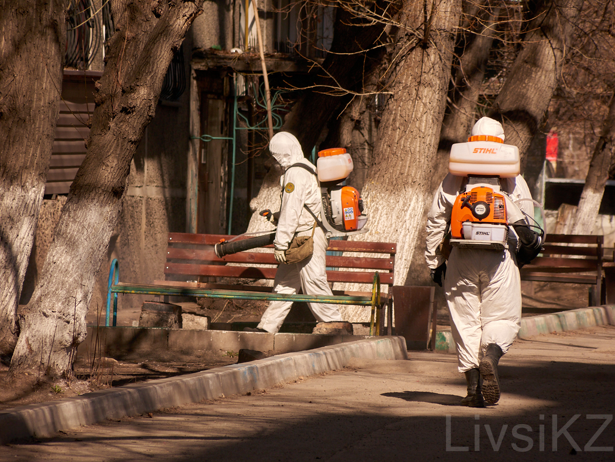 Karagantin No. 3 - quarantine everyday life of Karaganda - My, Karaganda, Kazakhstan, Quarantine, Coronavirus, Longpost