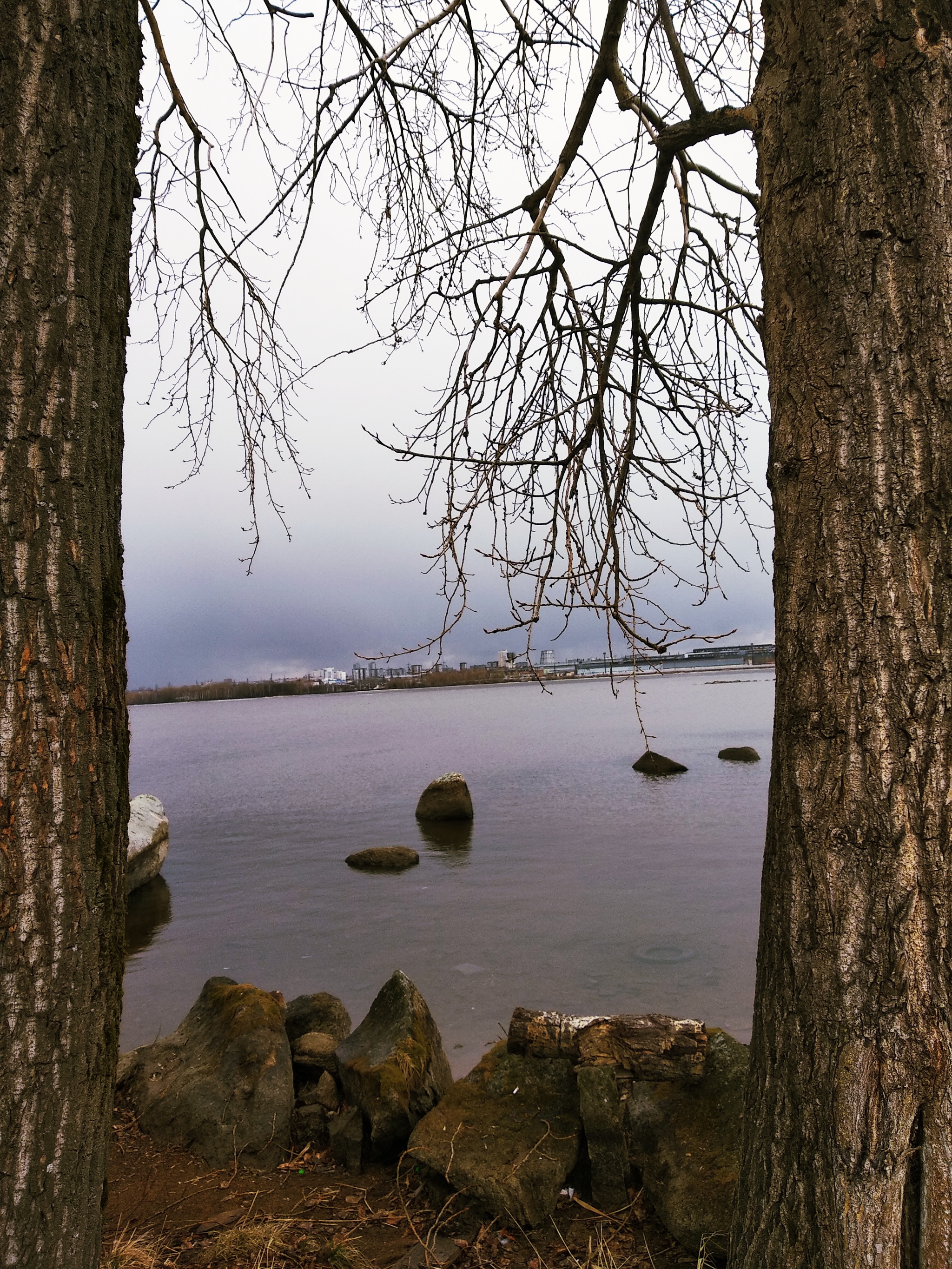 Just after training on the shore of the pond, I was relaxing. And here are a few photos of how the weather changed in about half an hour. Ekaterinburg (visa) - Nature, Ural, Self-isolation, 100m, Longpost