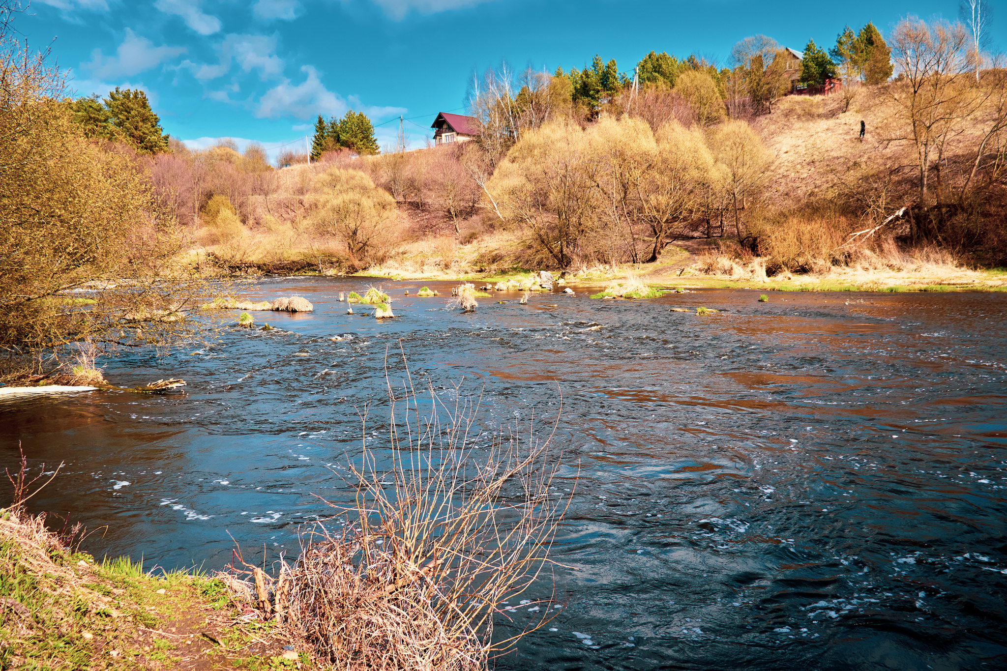 Tula region - My, Nature, Tula region, River, The nature of Russia, Picturesque, Longpost