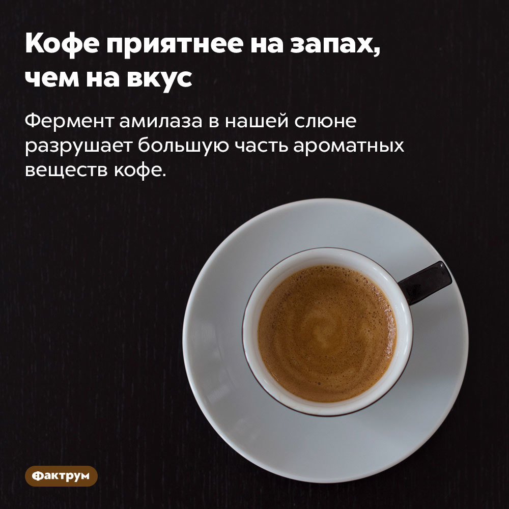 7 интересных фактов о кофе - Кофе, Факты, Интересное, Самое интересное в сети, Длиннопост