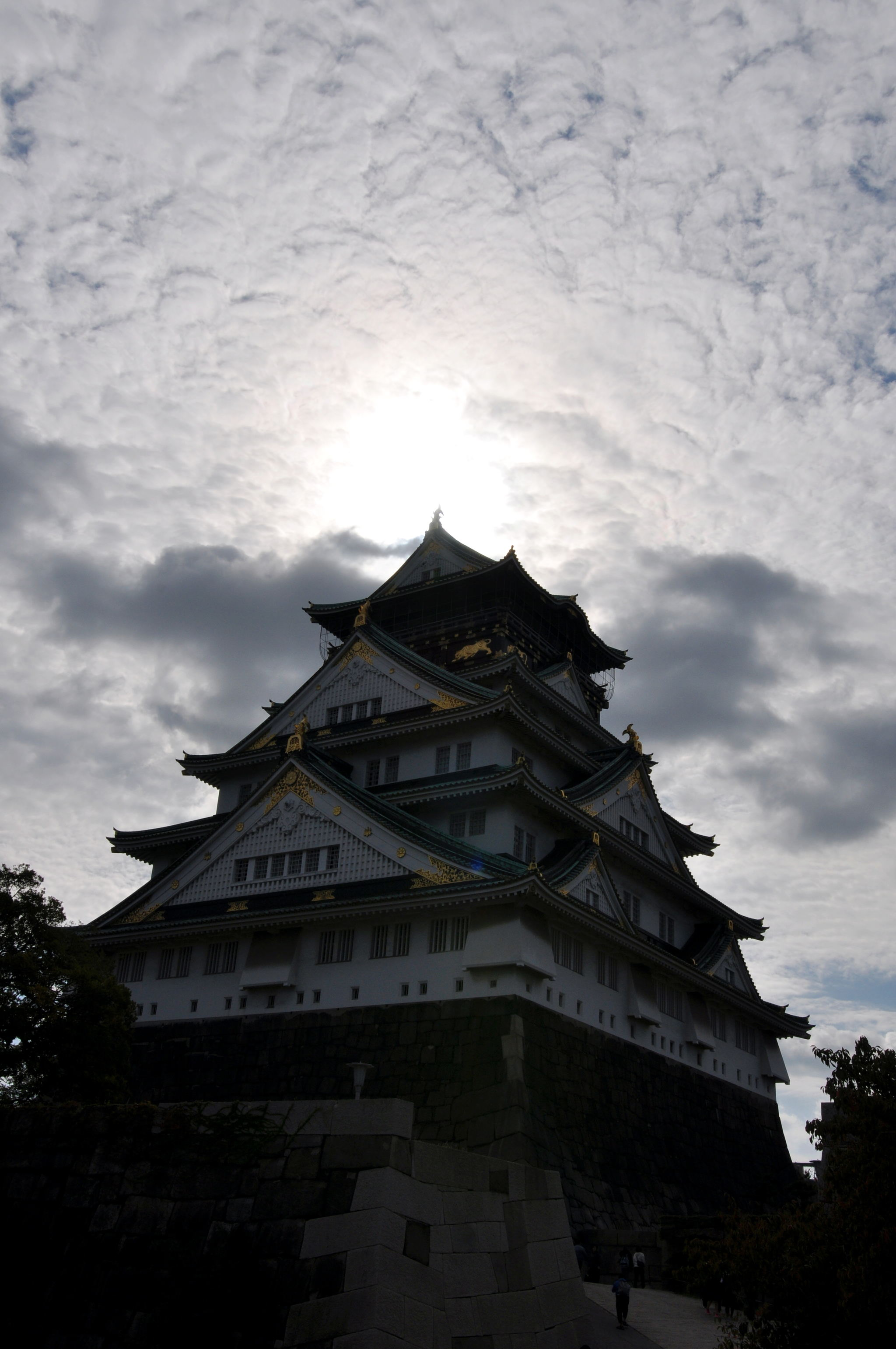 Castle, wheel, tower (Osaka, Japan) - My, Japan, Osaka, Lock, Ferris wheel, Tower, Панорама, Longpost