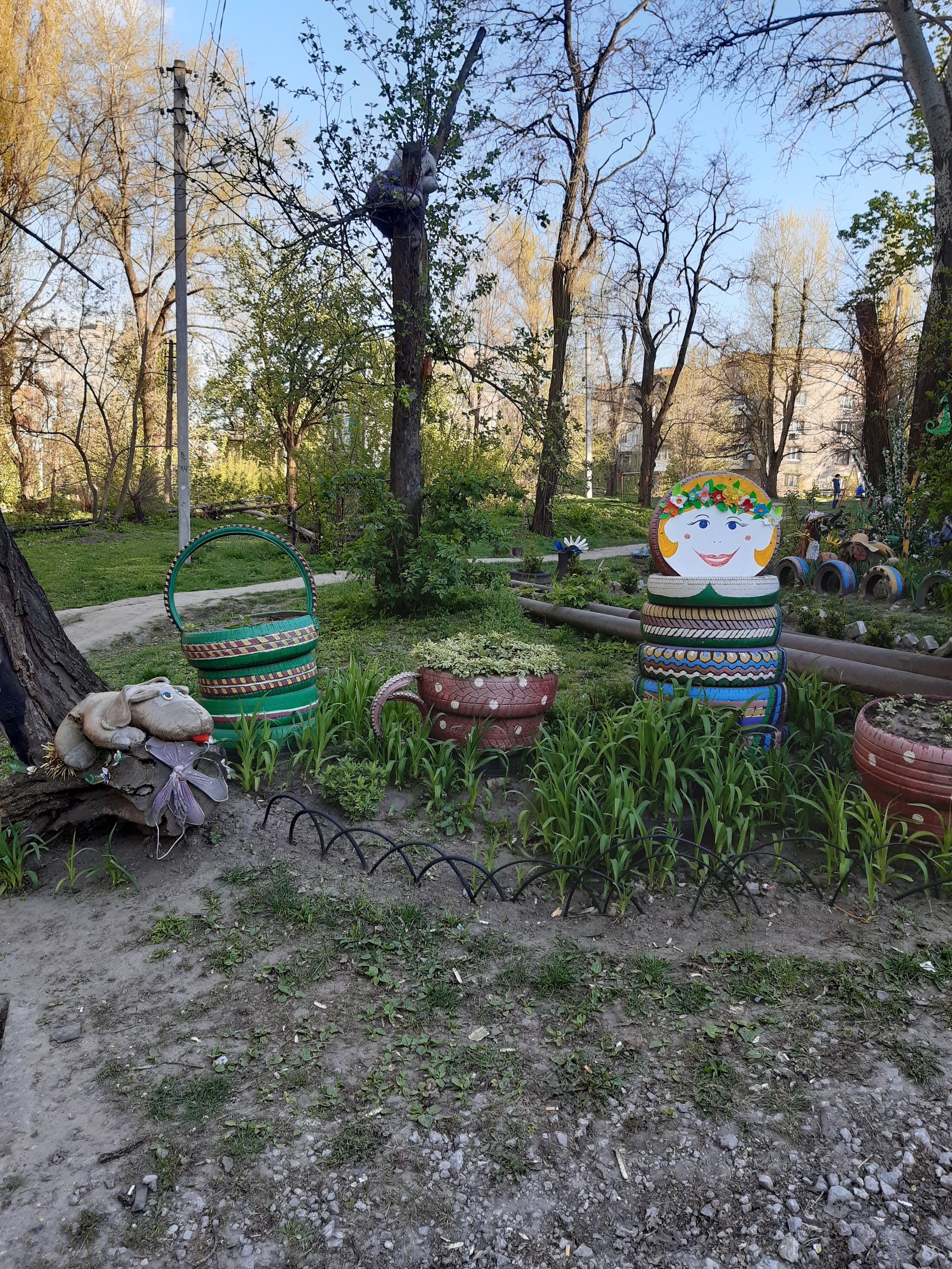 Folk art - My, Mobile photography, Longpost, Tires, Courtyard